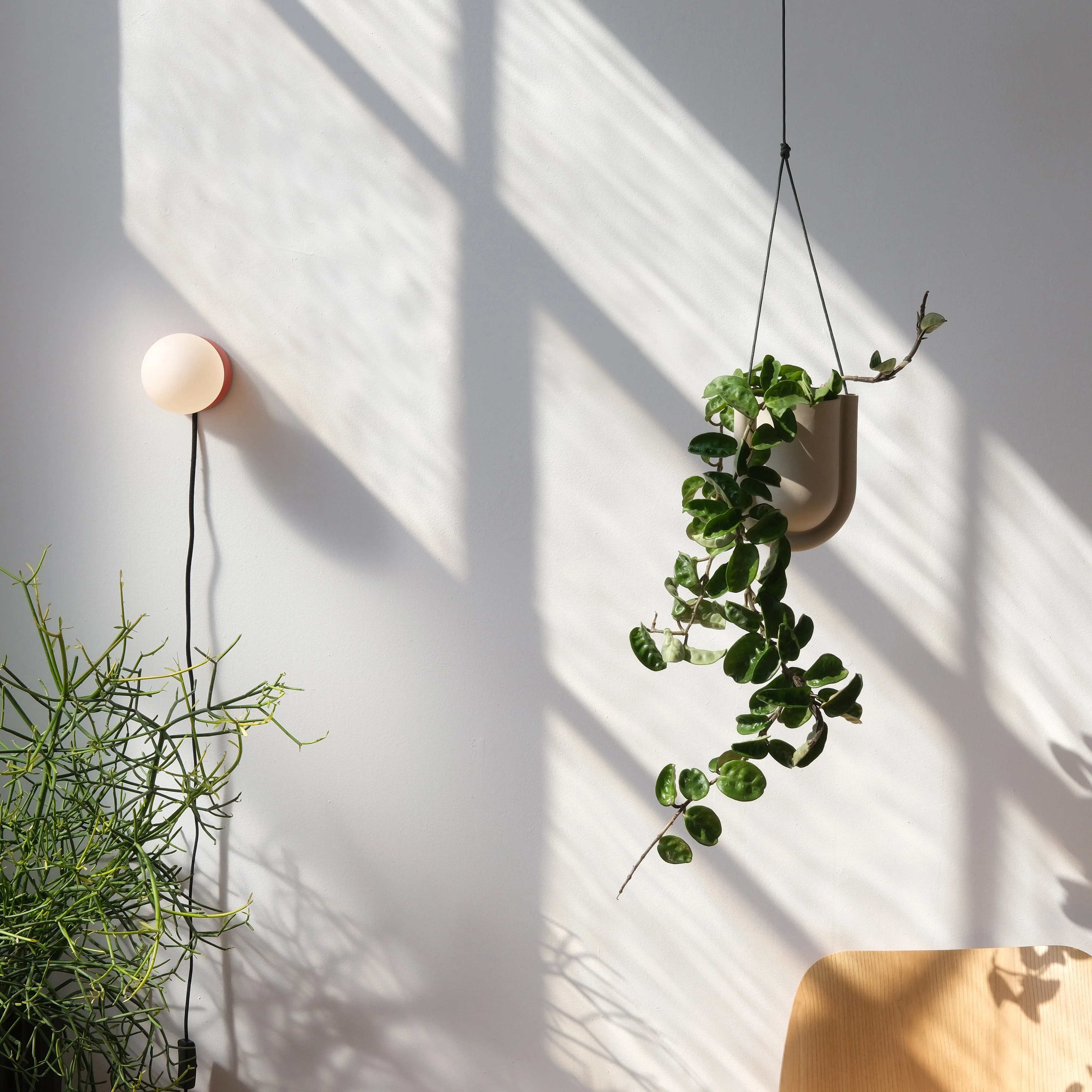 Monroe Sconce - Small - Image 3