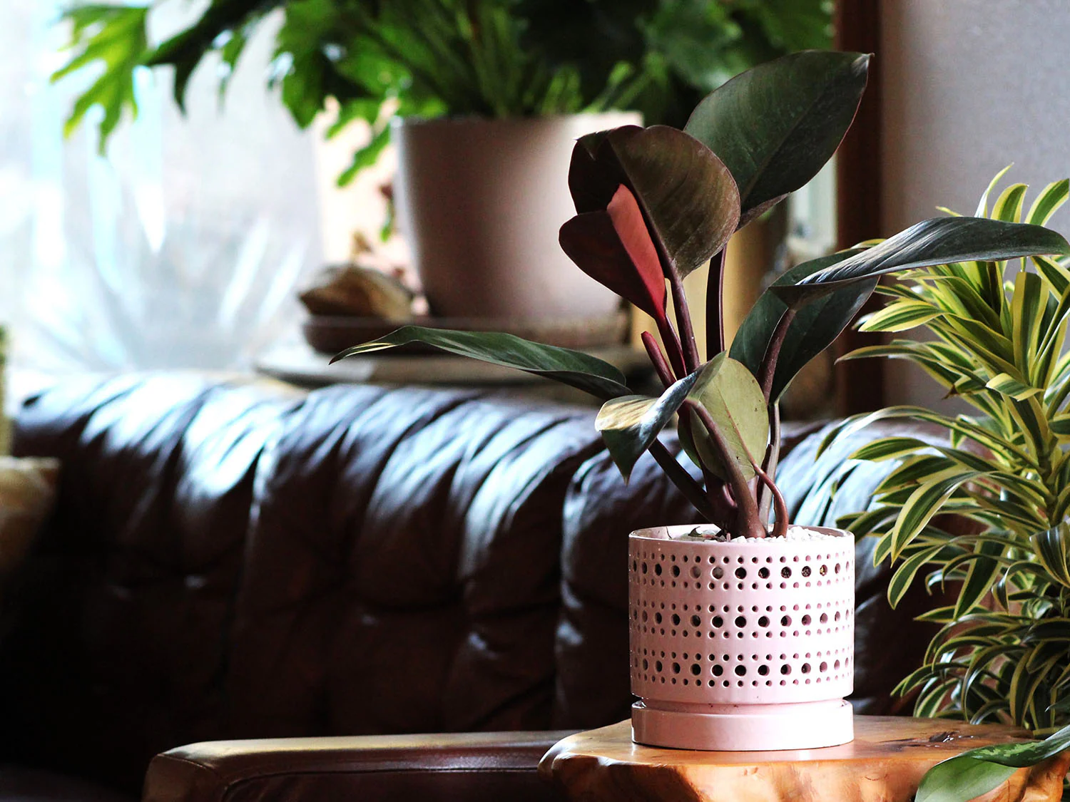 Moon Gate Orchid Planter with Attached Saucer- Pastel By Plantatorem - Image 2