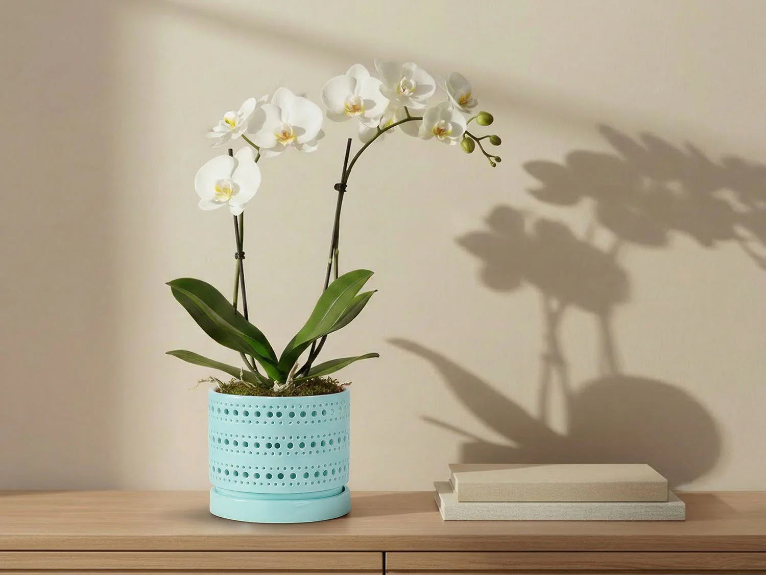 Moon Gate Orchid Planter with Attached Saucer- Pastel By Plantatorem - Image 7
