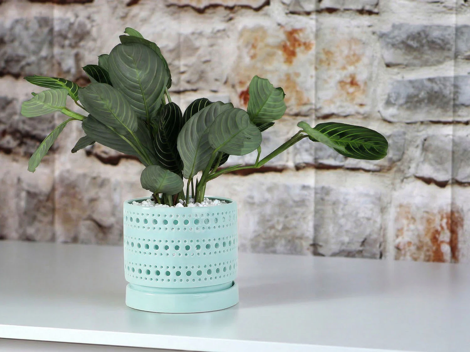 Moon Gate Orchid Planter with Attached Saucer- Pastel By Plantatorem - Image 8