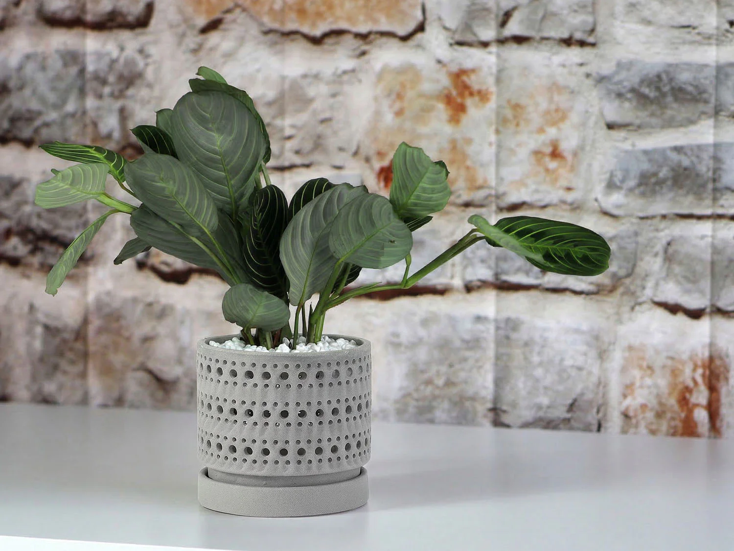 Moon Gate Orchid Planter with Attached Saucer - Sand By Plantatorem - Image 10