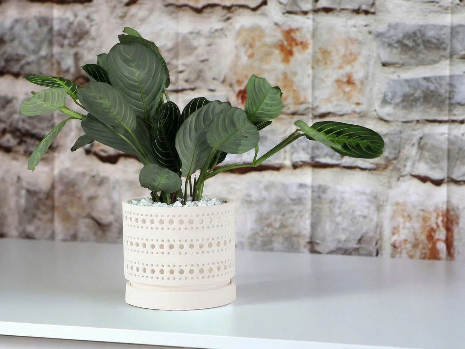 Moon Gate Orchid Planter with Attached Saucer - Sand By Plantatorem - Image 4