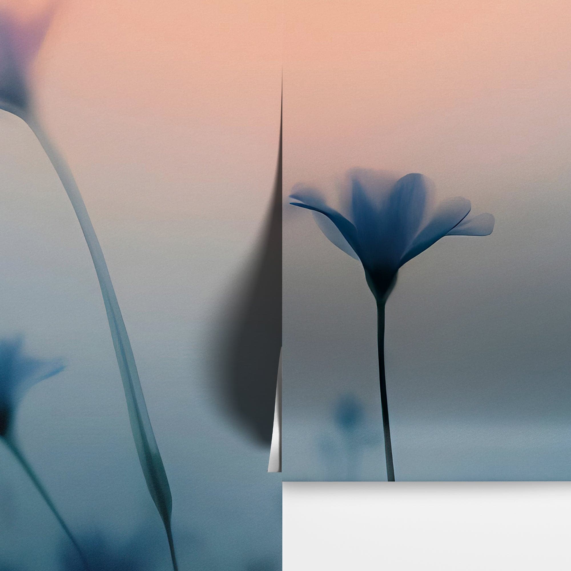 Morning Dew Misty Flower Wallpaper Mural. #7021 - Image 13