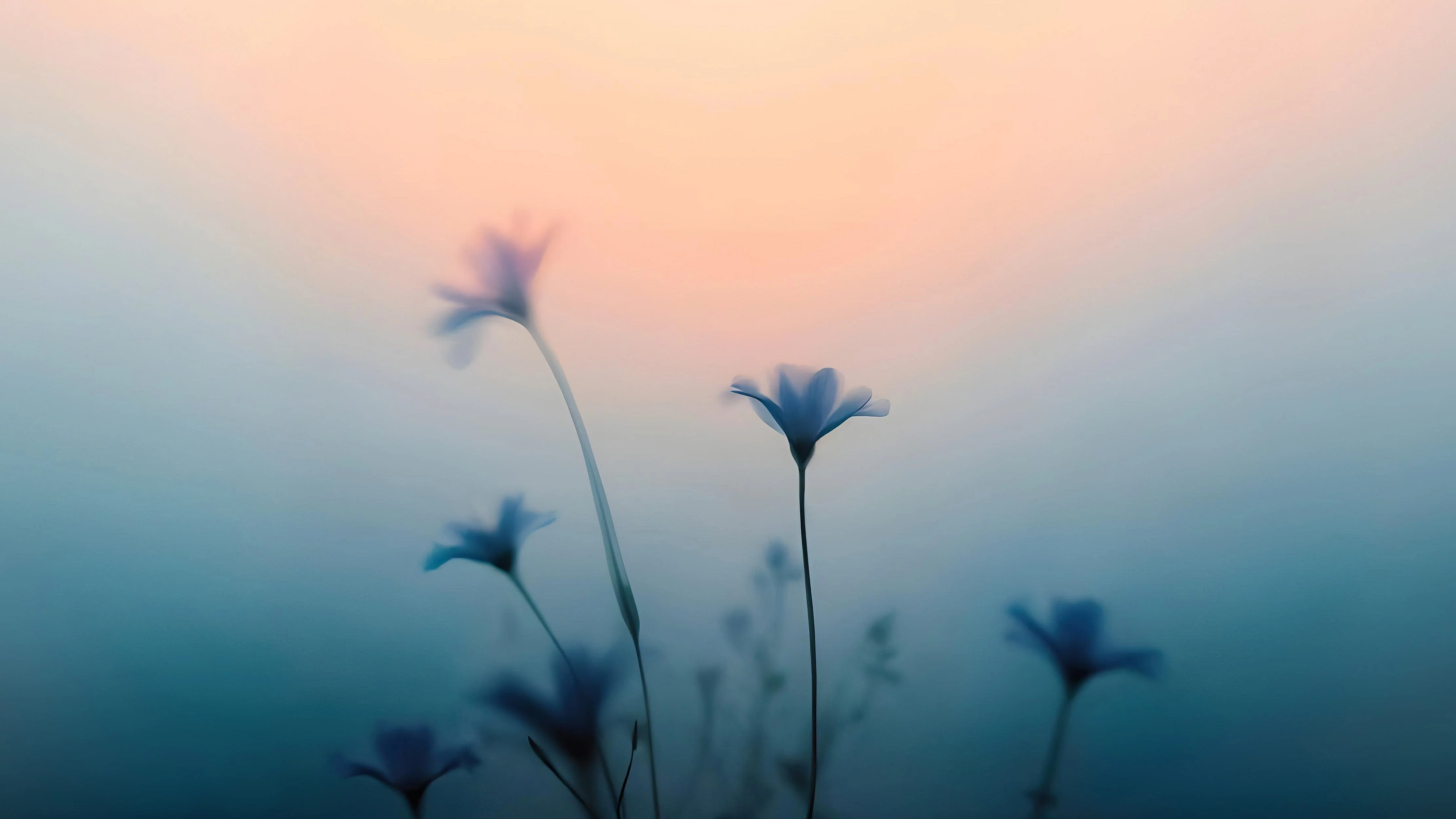 Morning Dew Misty Flower Wallpaper Mural. #7021 - Image 2