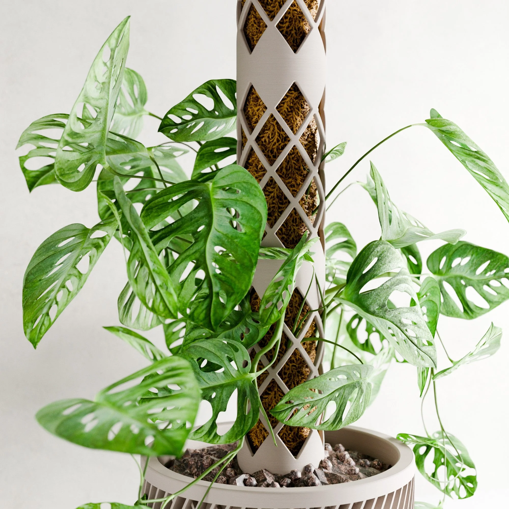 Moss Pole MODULAR - Image 6