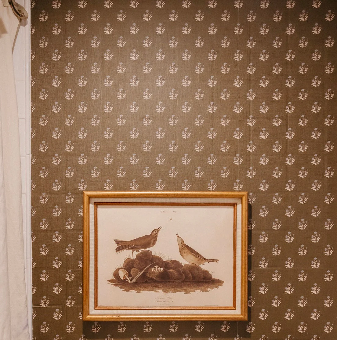 Mulberry Court Wallpaper by Safari Natalia x Taddy Mikelaites - Image 10
