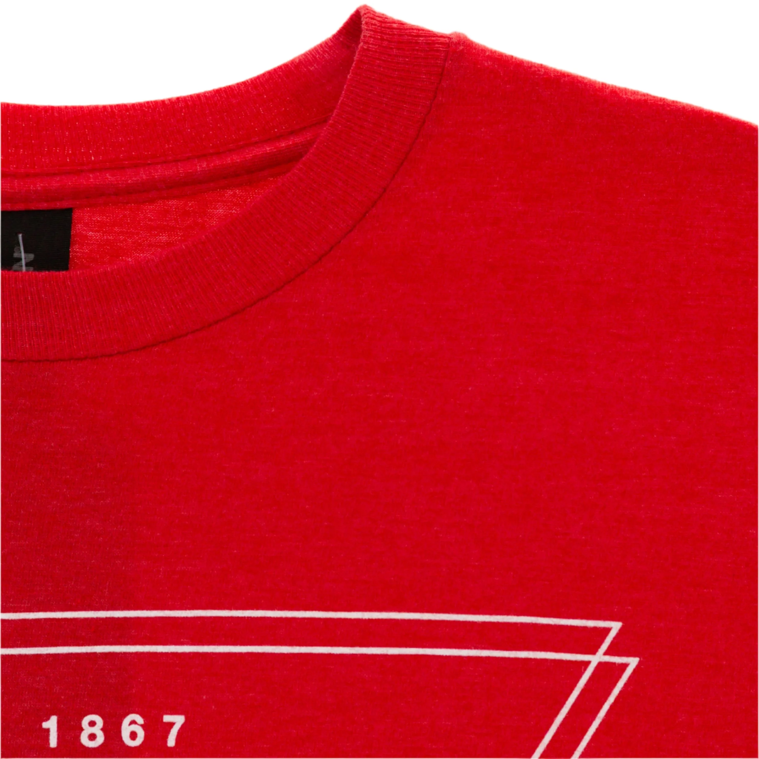 NE Cornhusker State Triangle Est 1867 T-Shirt | Small Town Famous - Image 4