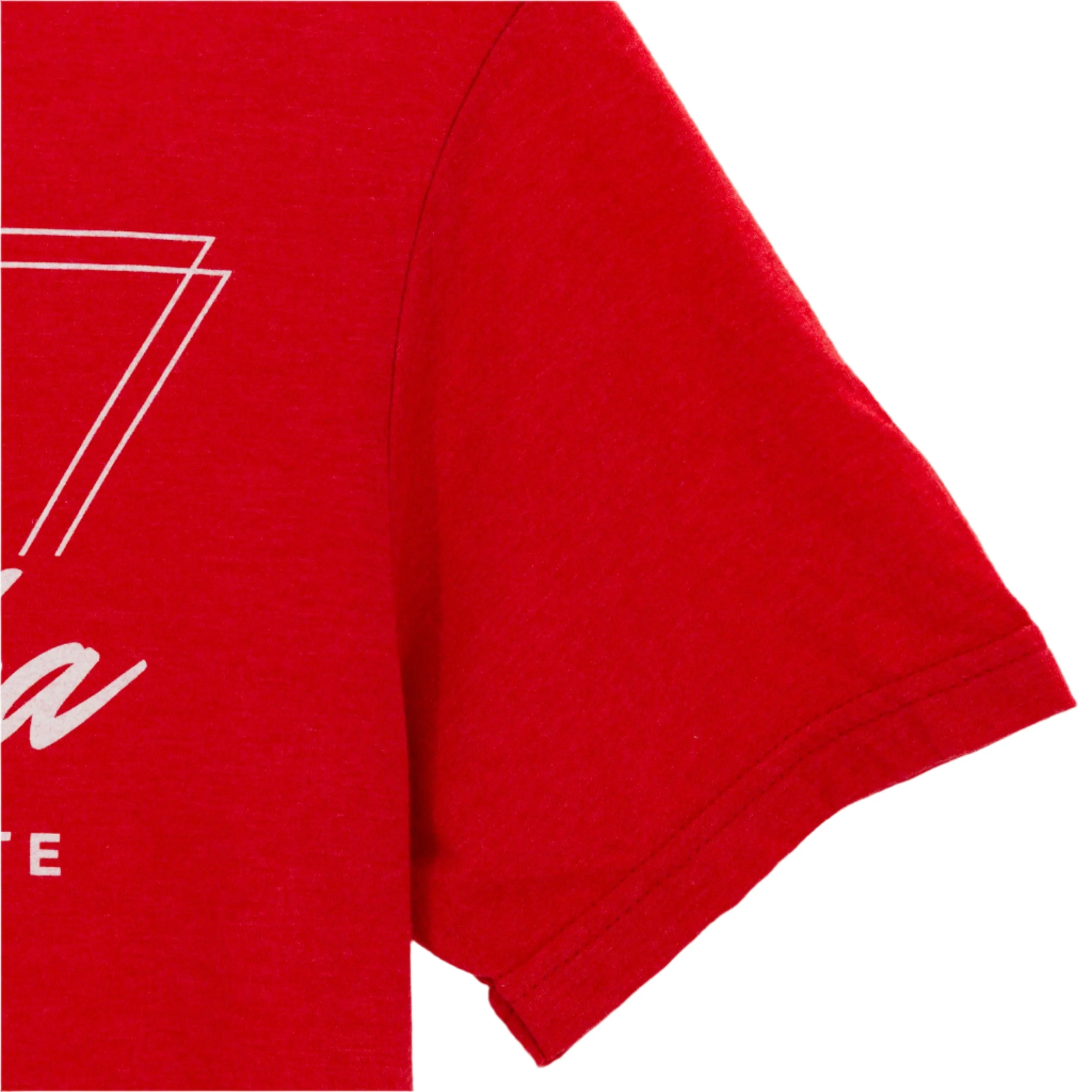 NE Cornhusker State Triangle Est 1867 T-Shirt | Small Town Famous - Image 5