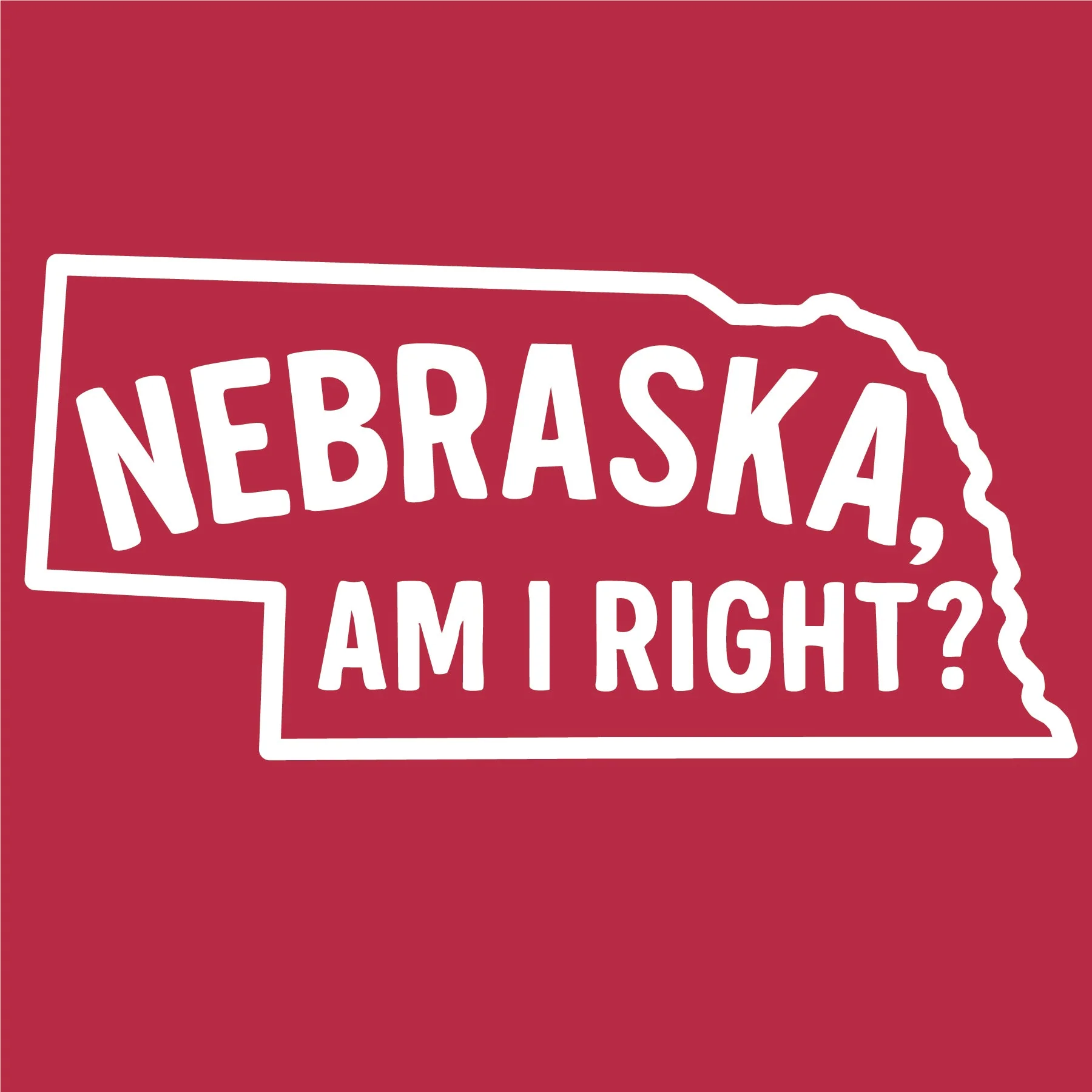 Nebraska, Am I Right? T-Shirt | Multiple Sizes | The Hex + The Hive - Image 2