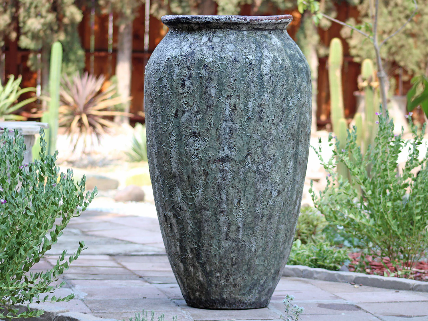 Olive Jar - Image 4