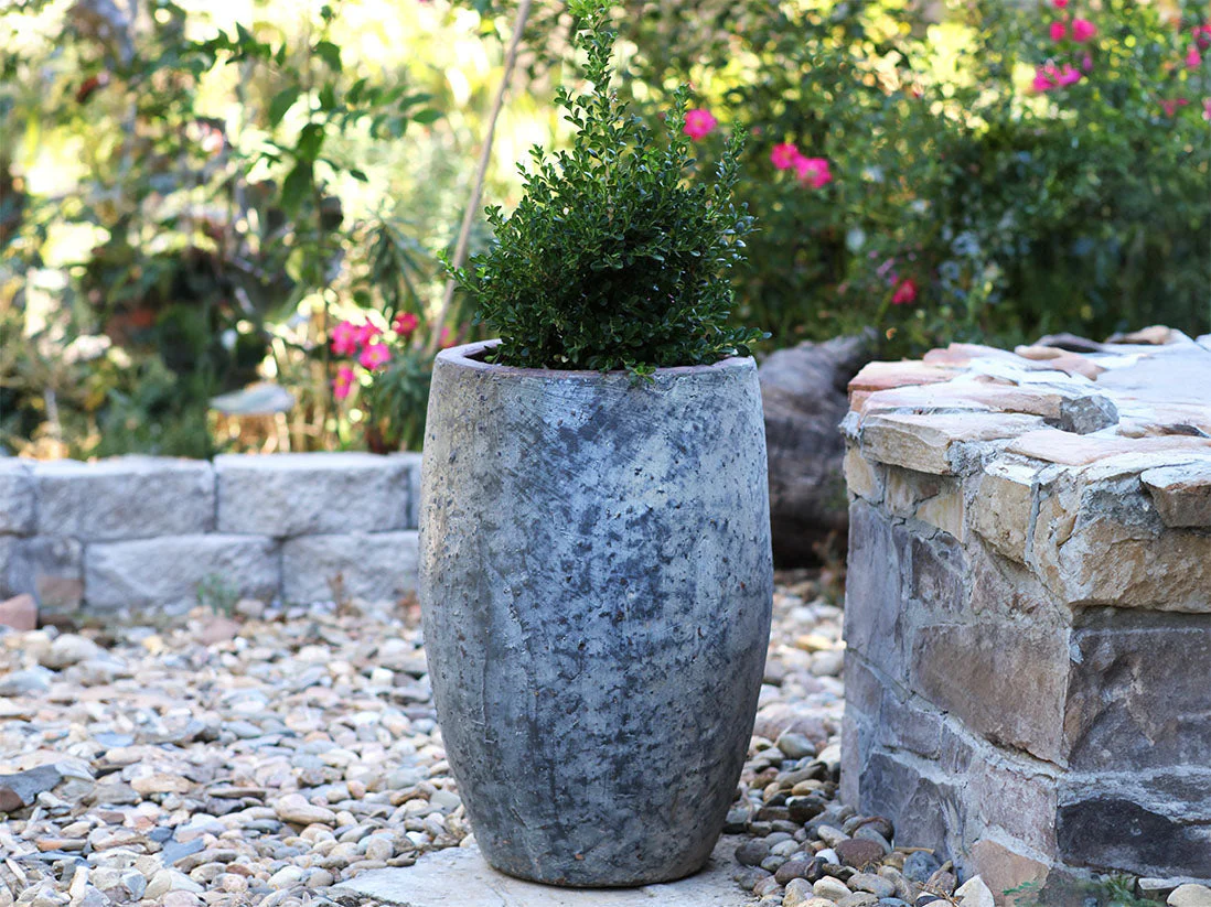 Olive No Rim Jar By Plantatorem - Image 19