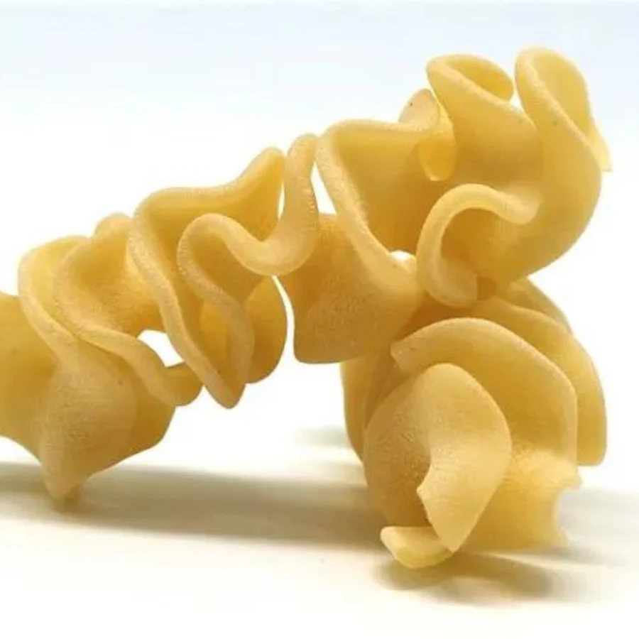 Ondine Pasta | 16 oz | Pack of 2 | Sabbiatos - Image 5