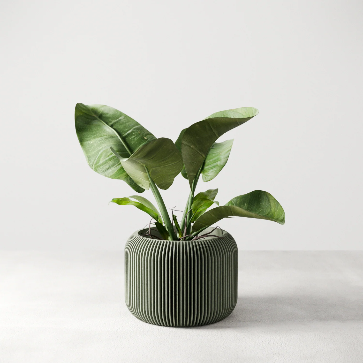 Orbis Planter - Image 2