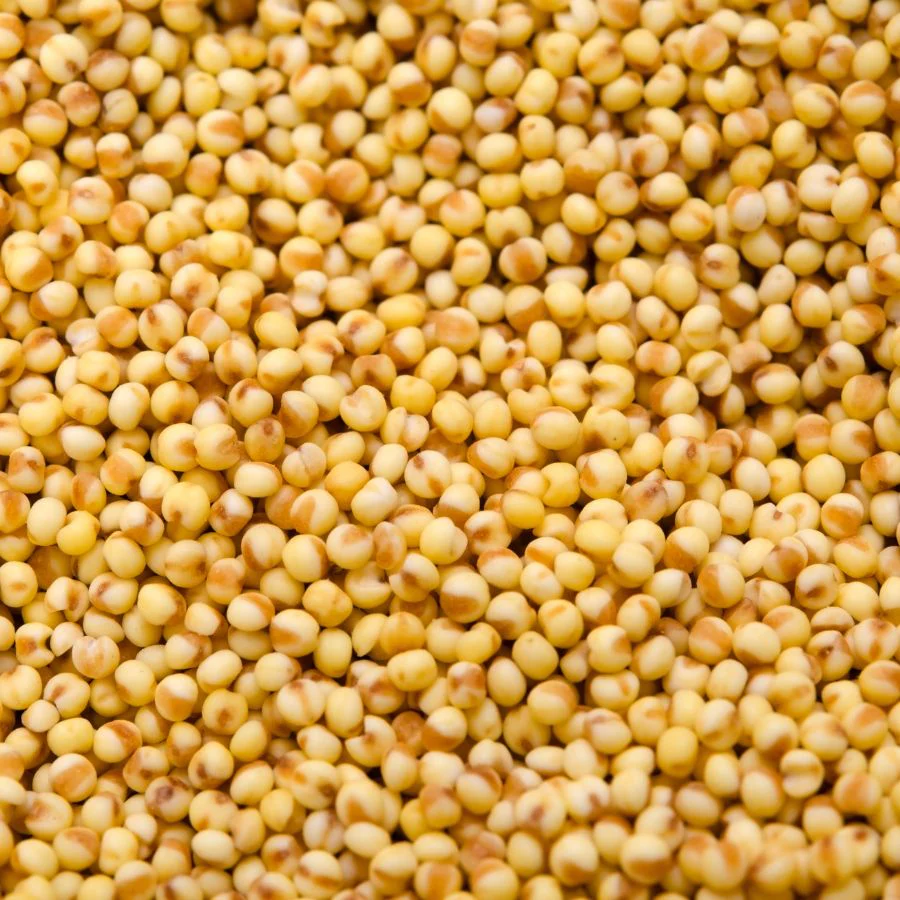 Organic Hulled White Proso Millet | 2 lb | Pack of 2 | Non-GMO | Grain Place Foods - Image 4