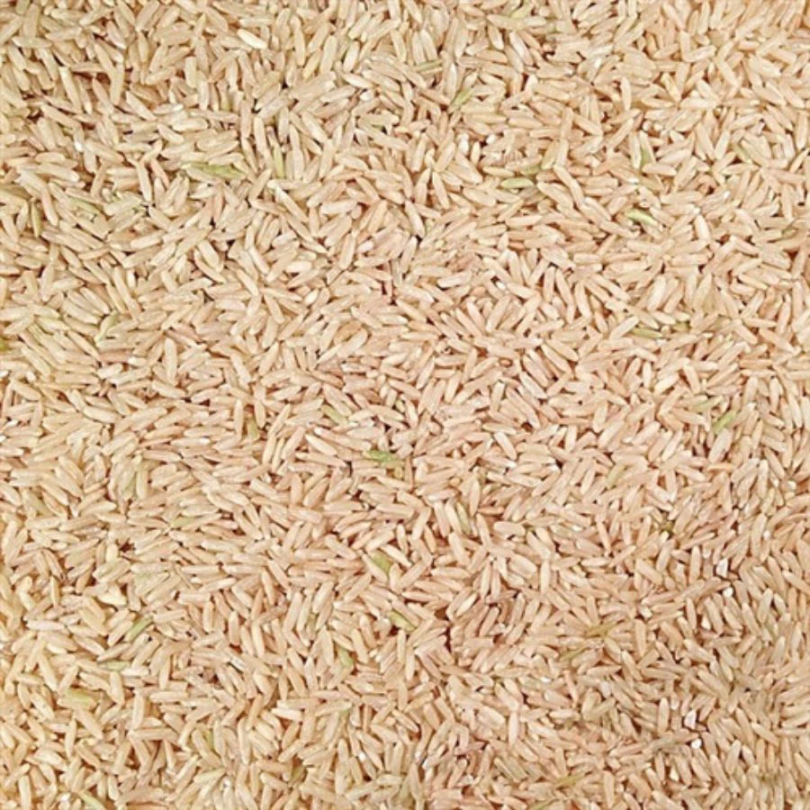 Organic Long Grain Brown Rice | 25 lb | Pack of 2 | Non-GMO | Shipping Included | Grain Place Foods - Image 3