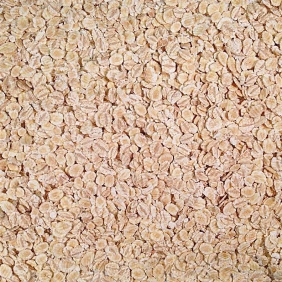 Organic Rolled Barley | 1 lb | Pack of 2 | Non-GMO | Grain Place Foods - Image 3
