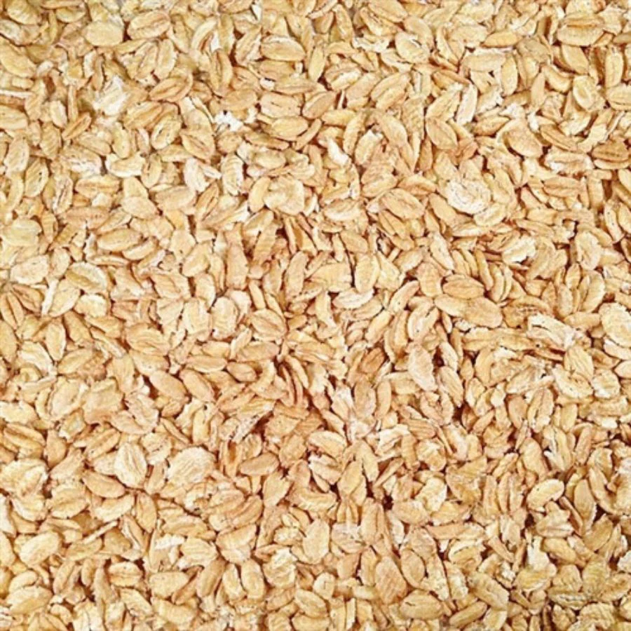 Organic Rolled Kamut Khorasan Wheat | 1 lb | Pack of 2 | Non-GMO | Grain Place Foods - Image 3
