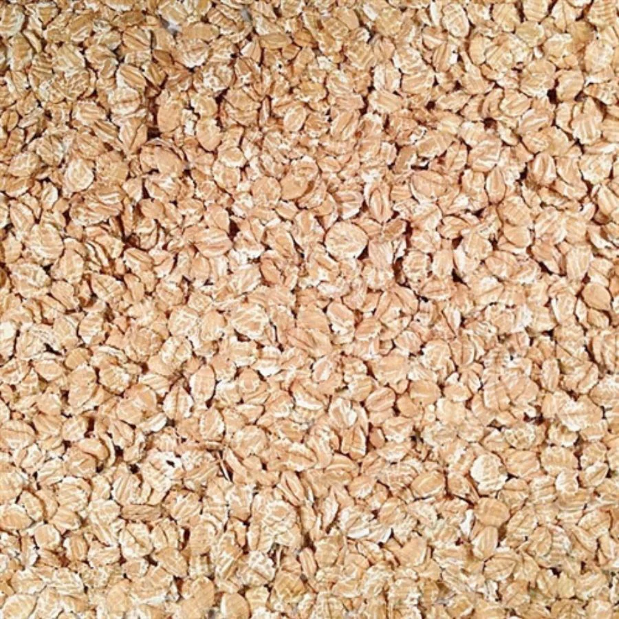 Organic Rolled Spelt | 1 lb | Pack of 2 | Non-GMO | Grain Place Foods - Image 3