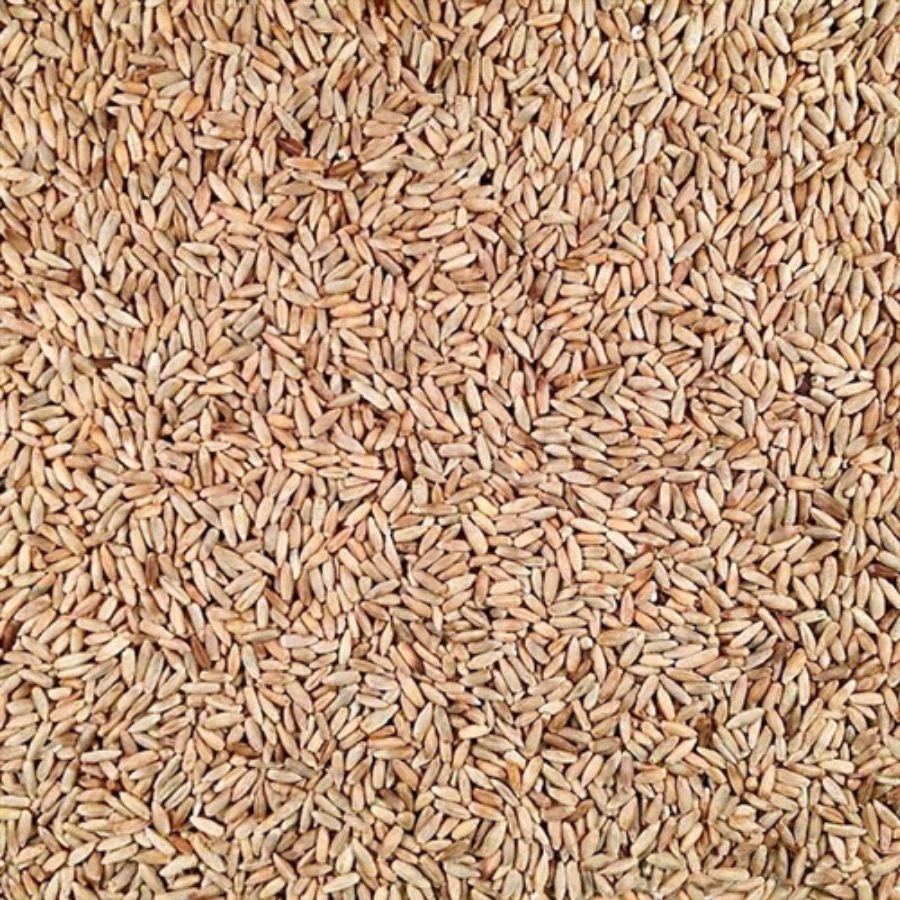 Organic Rye | 25 lb | Pack of 2 | Non-GMO | Grain Place Foods - Image 3