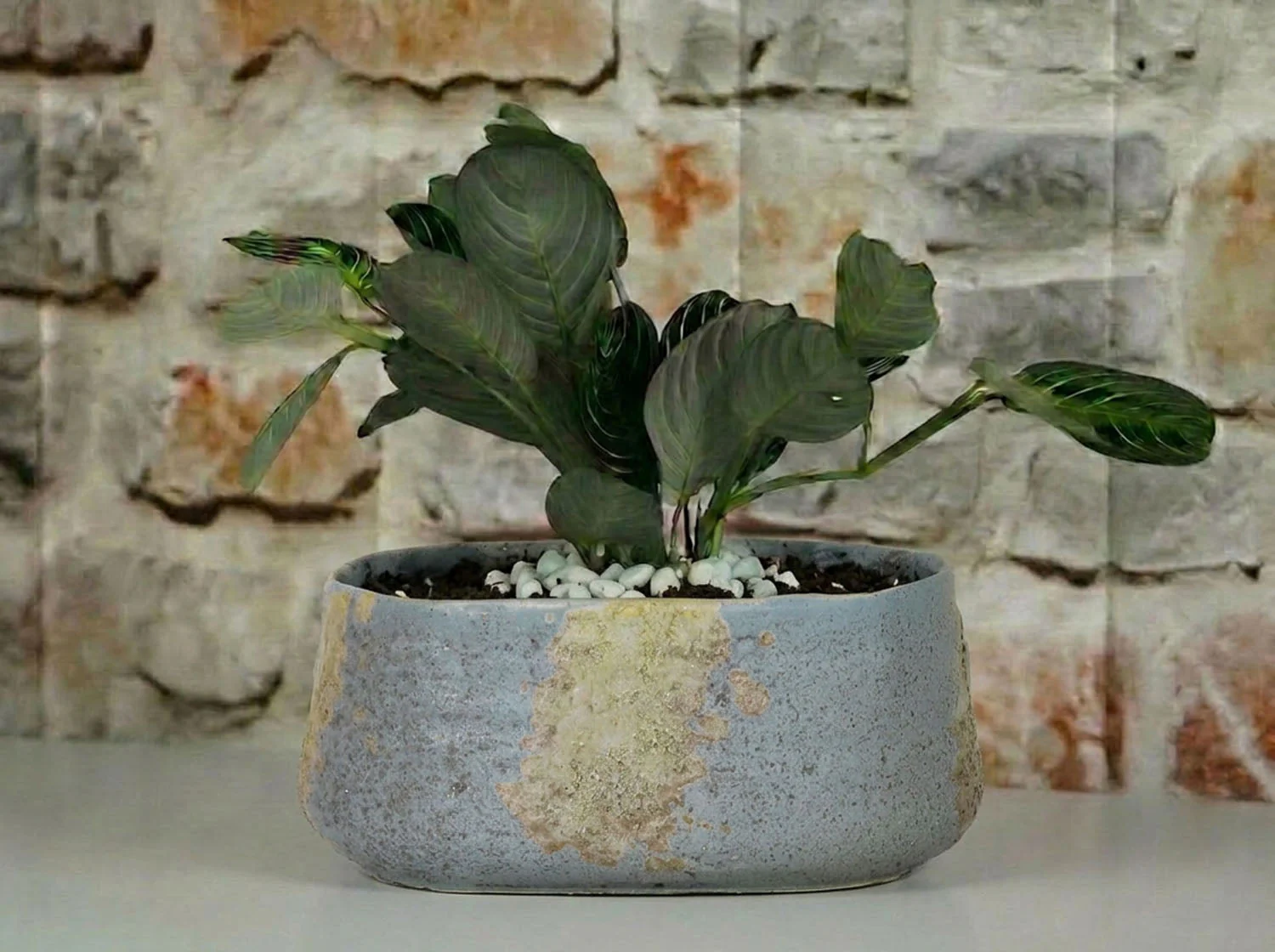Oval Hand Formed Planter - Image 4