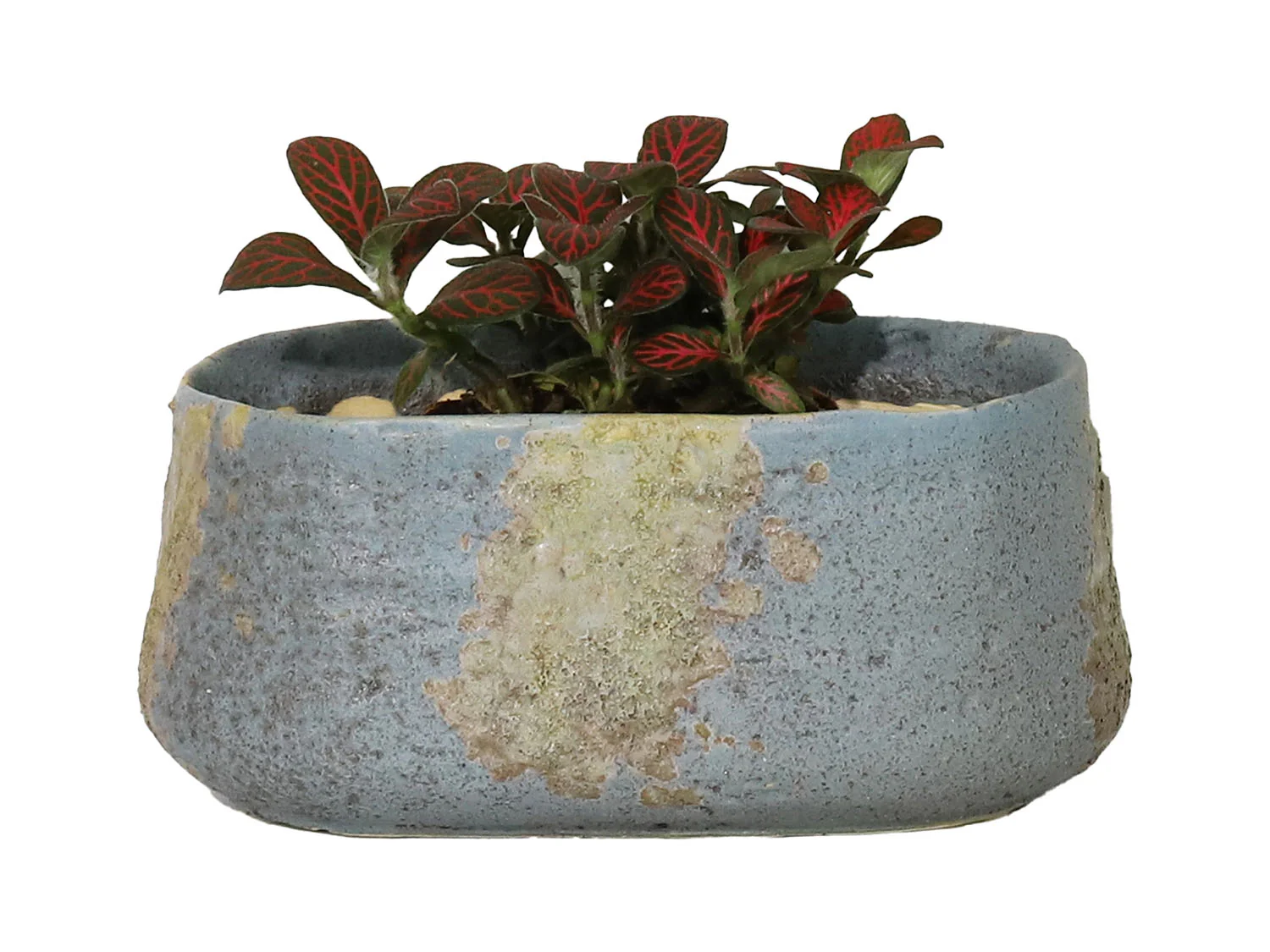 Oval Hand Formed Planter - Image 5