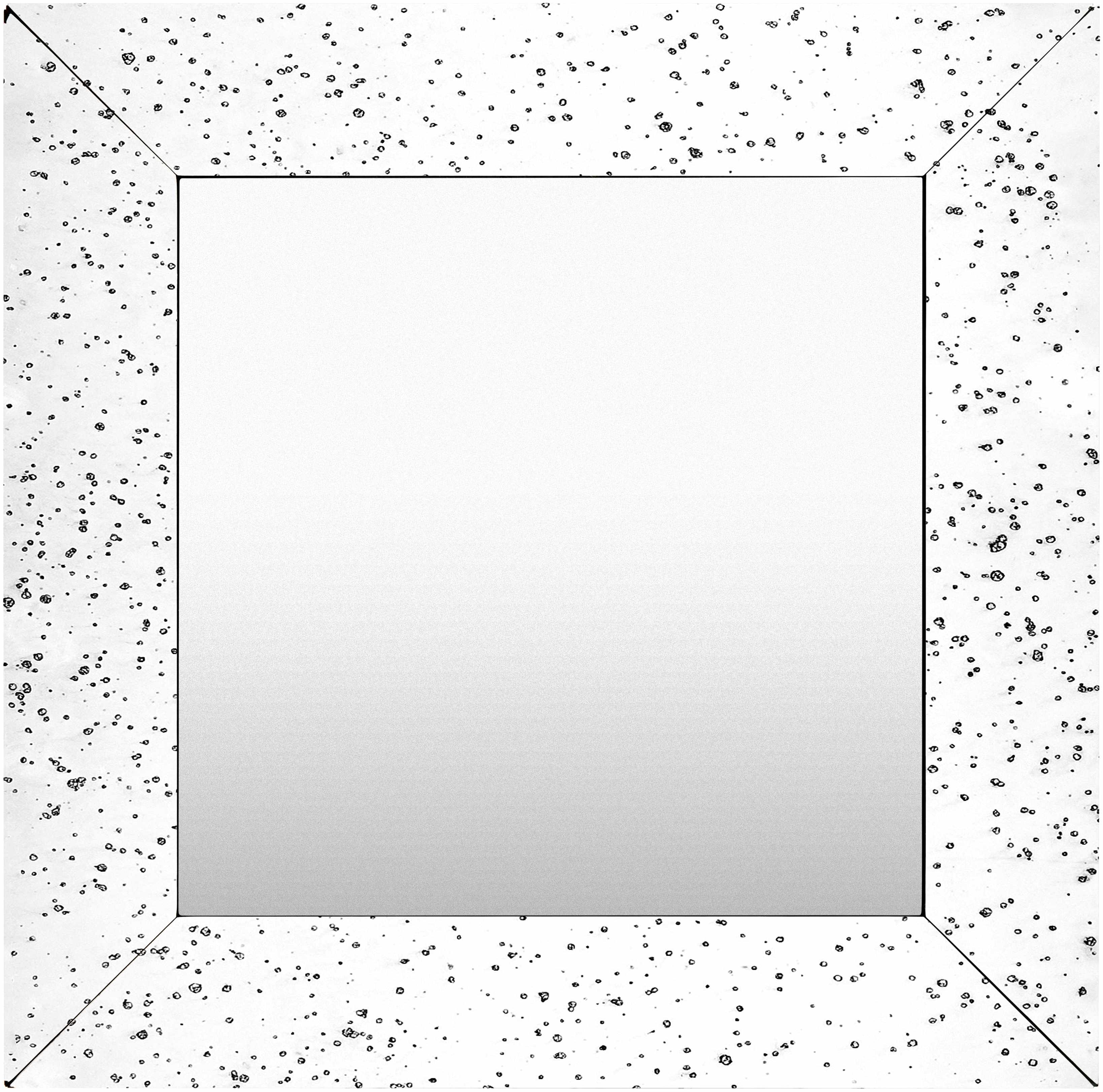 Papine Mirror - Clearance - Image 14
