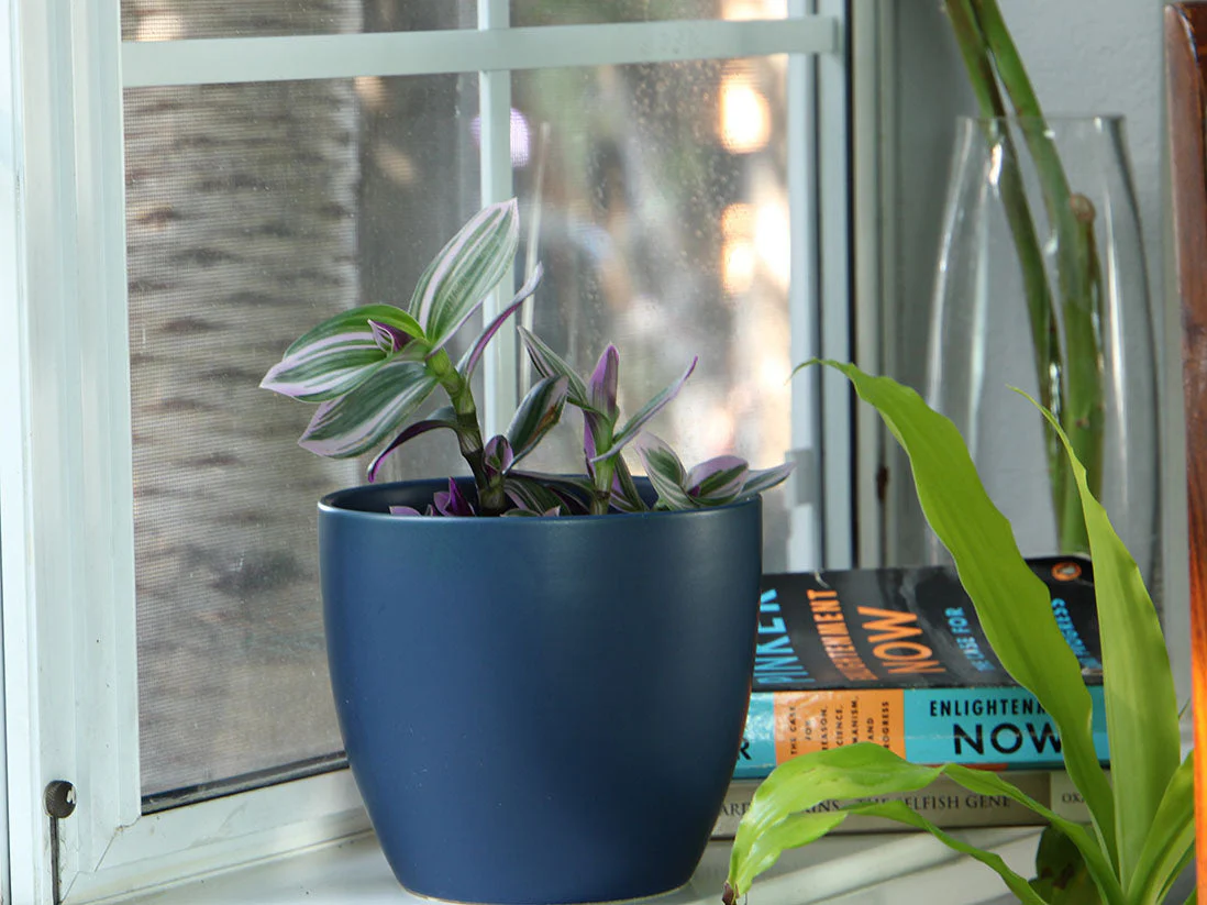 Peace Lily Cache Pot- 8.5" x 7.5" By Plantatorem - Image 11