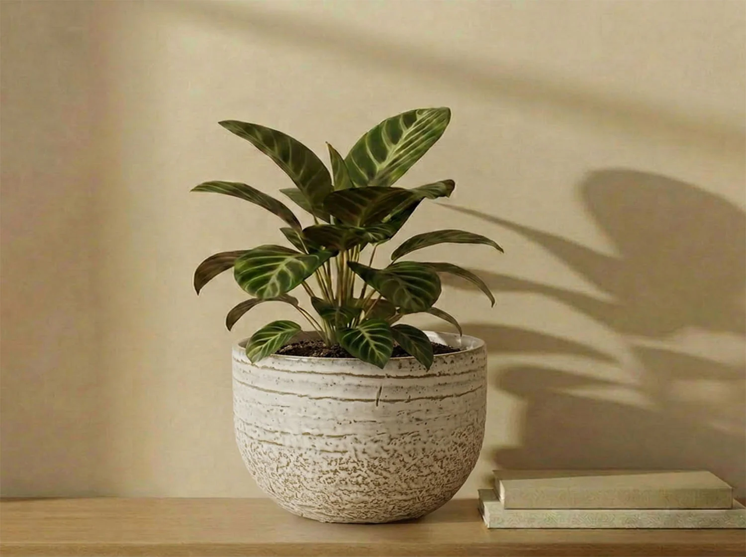 Pebble Beach Bowls - Image 2