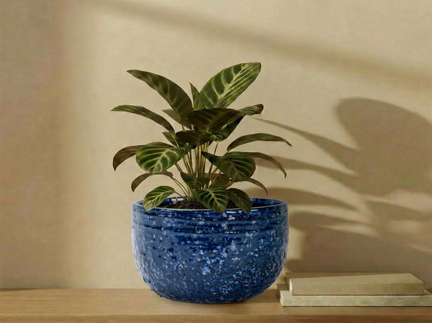 Pebble Beach Bowls - Image 5