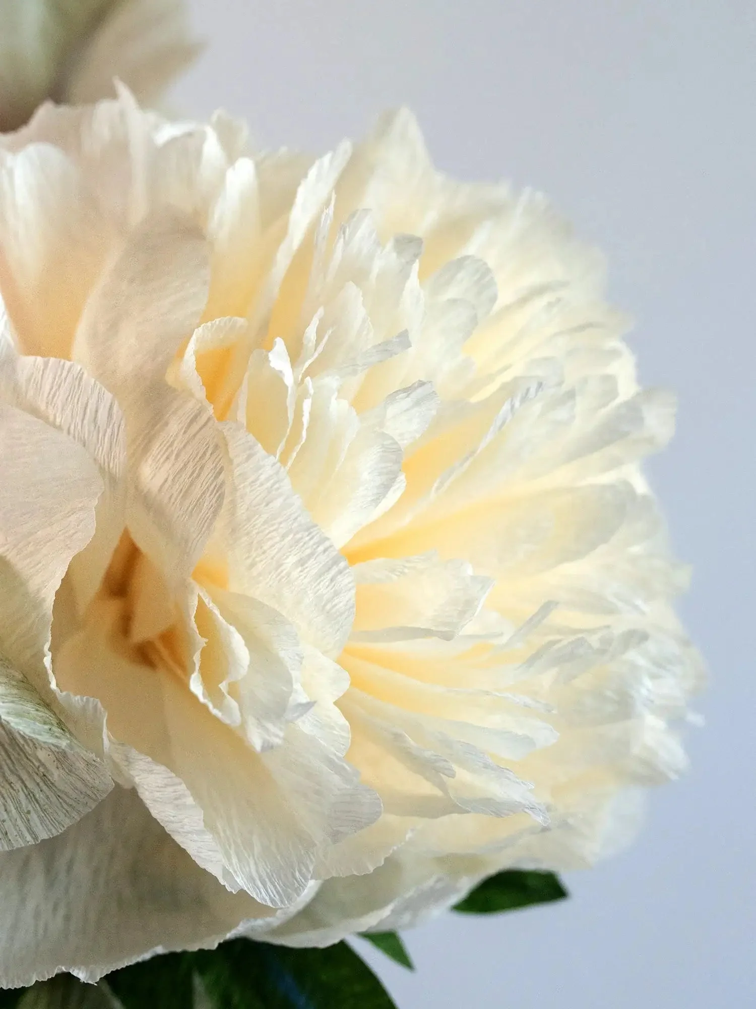 Peony for Your Thoughts | Handcrafted Paper Peony Bouquet - Image 3