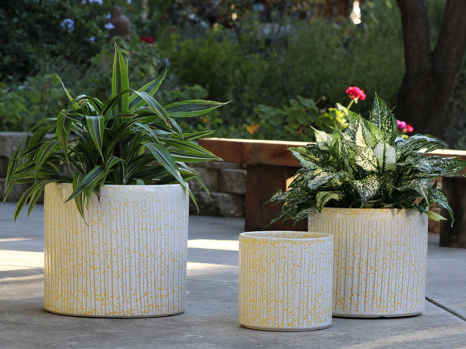 Peony Pot - Image 2