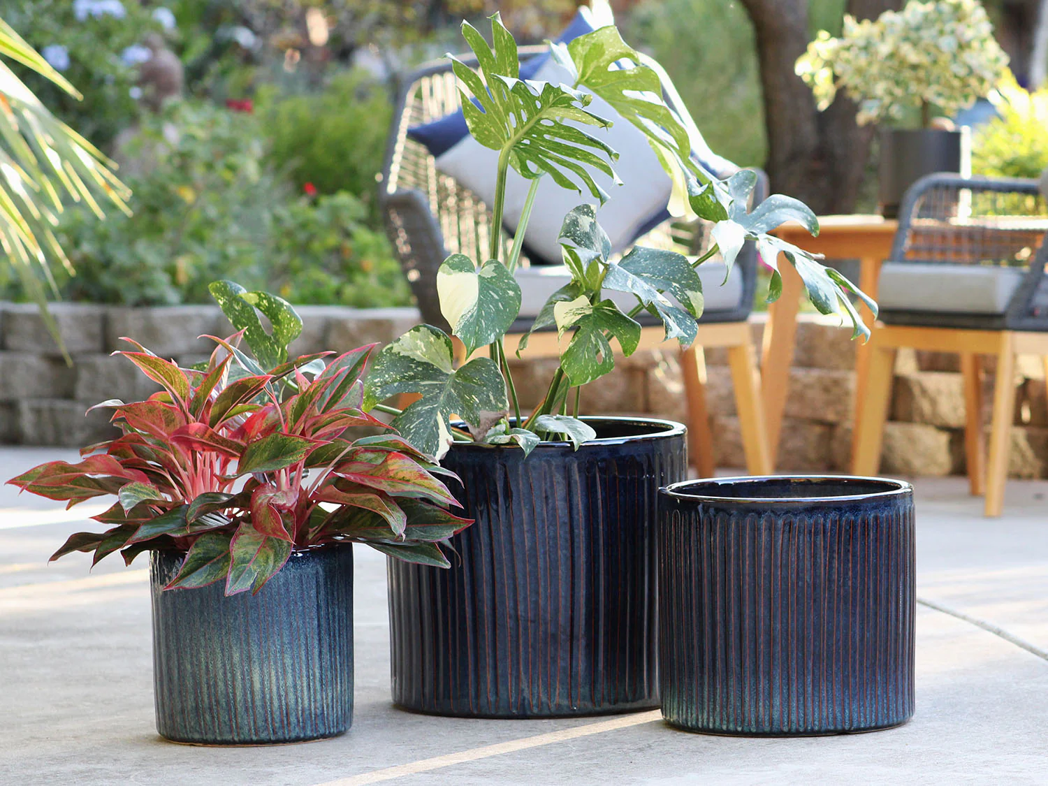 Peony Pot - Image 6