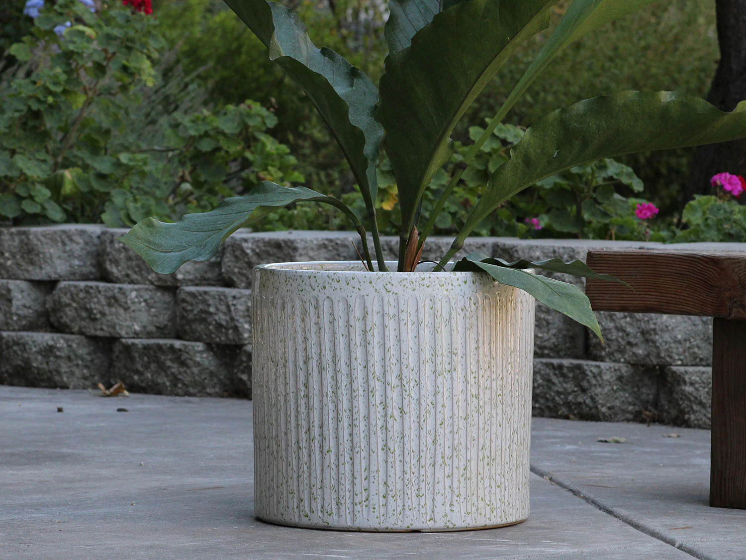 Peony Pot - Image 8