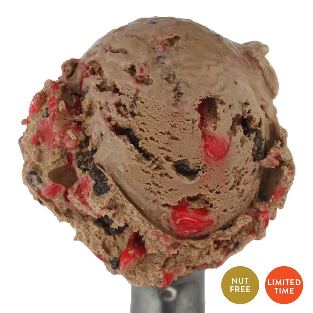 Peppermint Mocha Ice Cream | Pack of 4 | One Pint | Shipping Included | eCreamery - Image 2