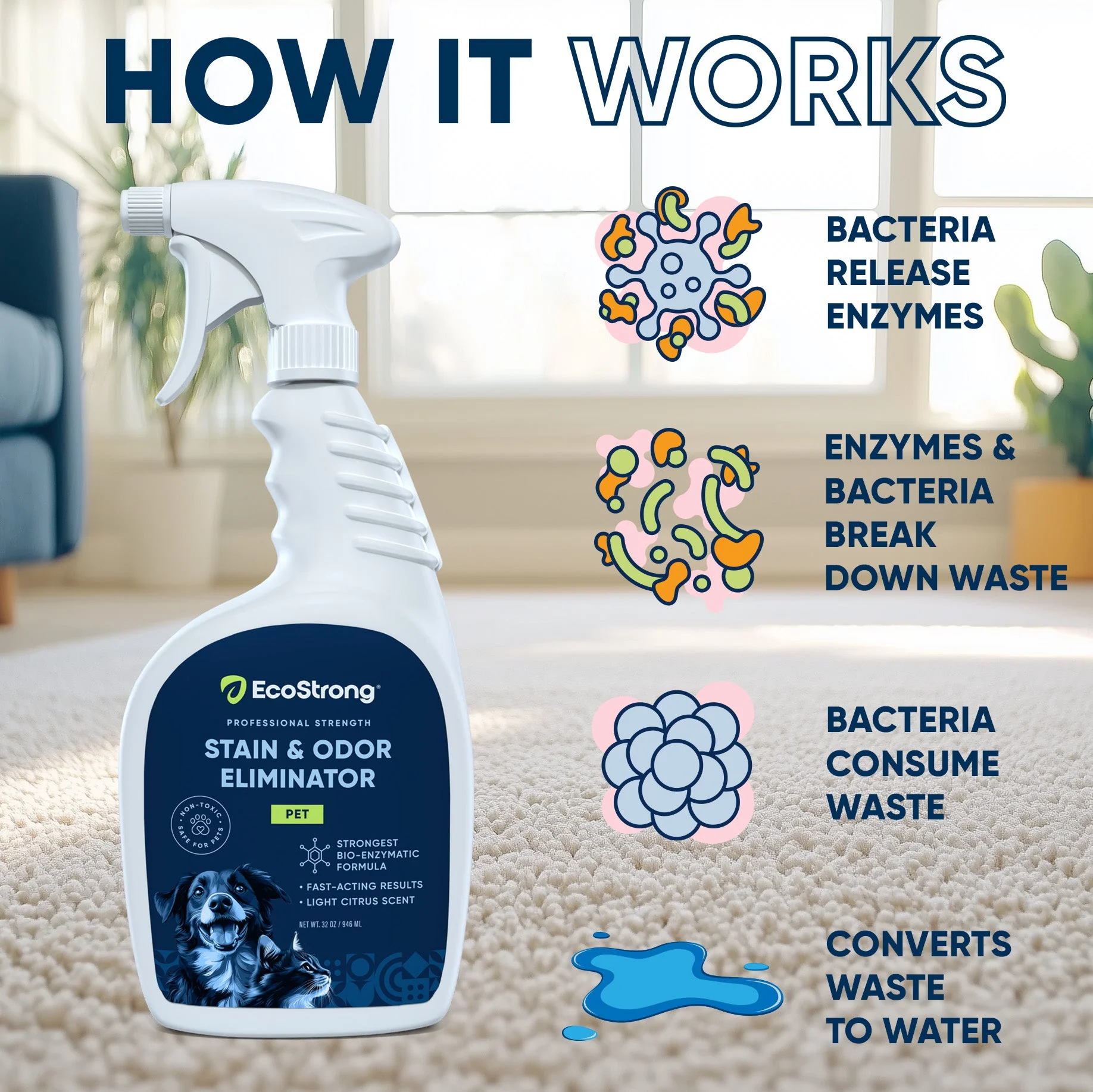 Pet Stain and Odor Eliminator - Image 13