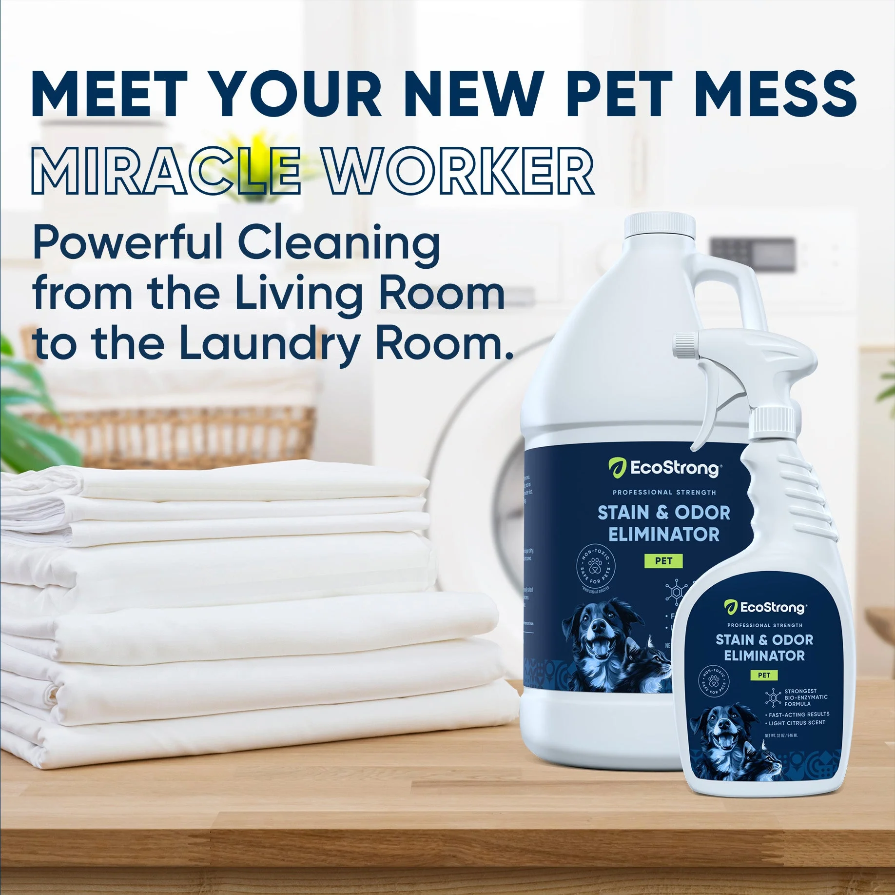 Pet Stain and Odor Eliminator - Image 17