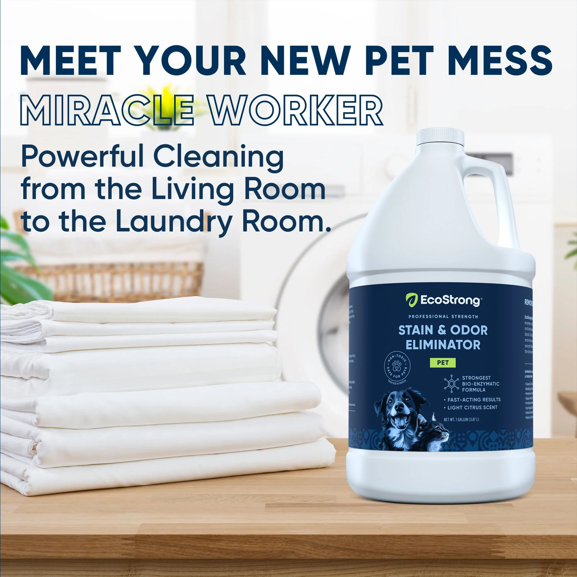 Pet Stain and Odor Eliminator - Image 2
