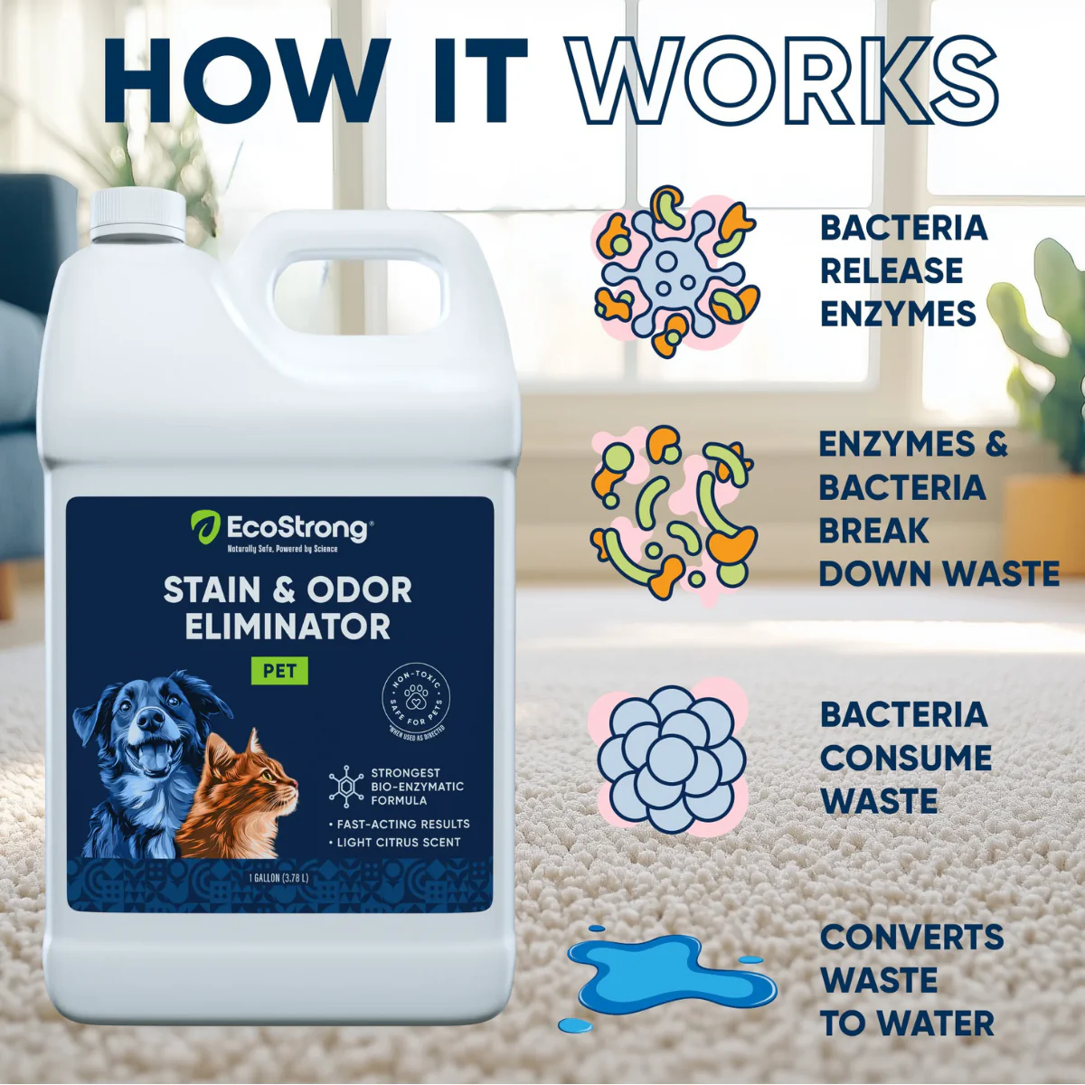 Pet Stain and Odor Eliminator - Image 6
