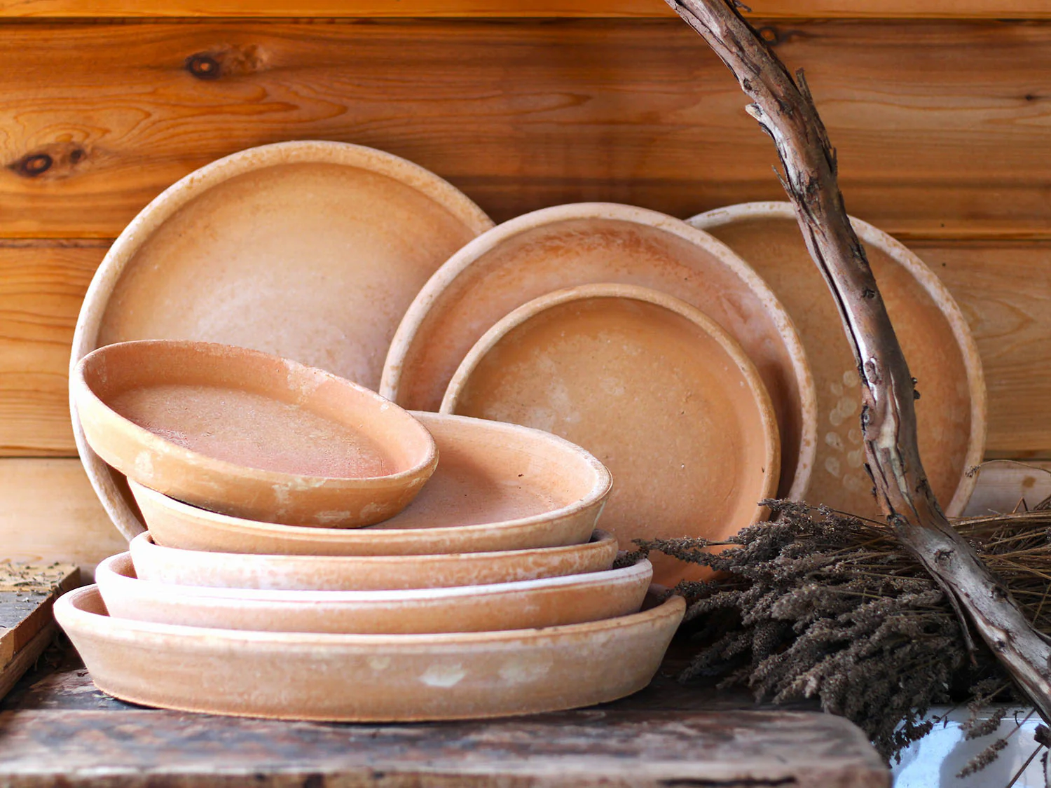 Piato (Saucer) By Plantatorem - Image 3