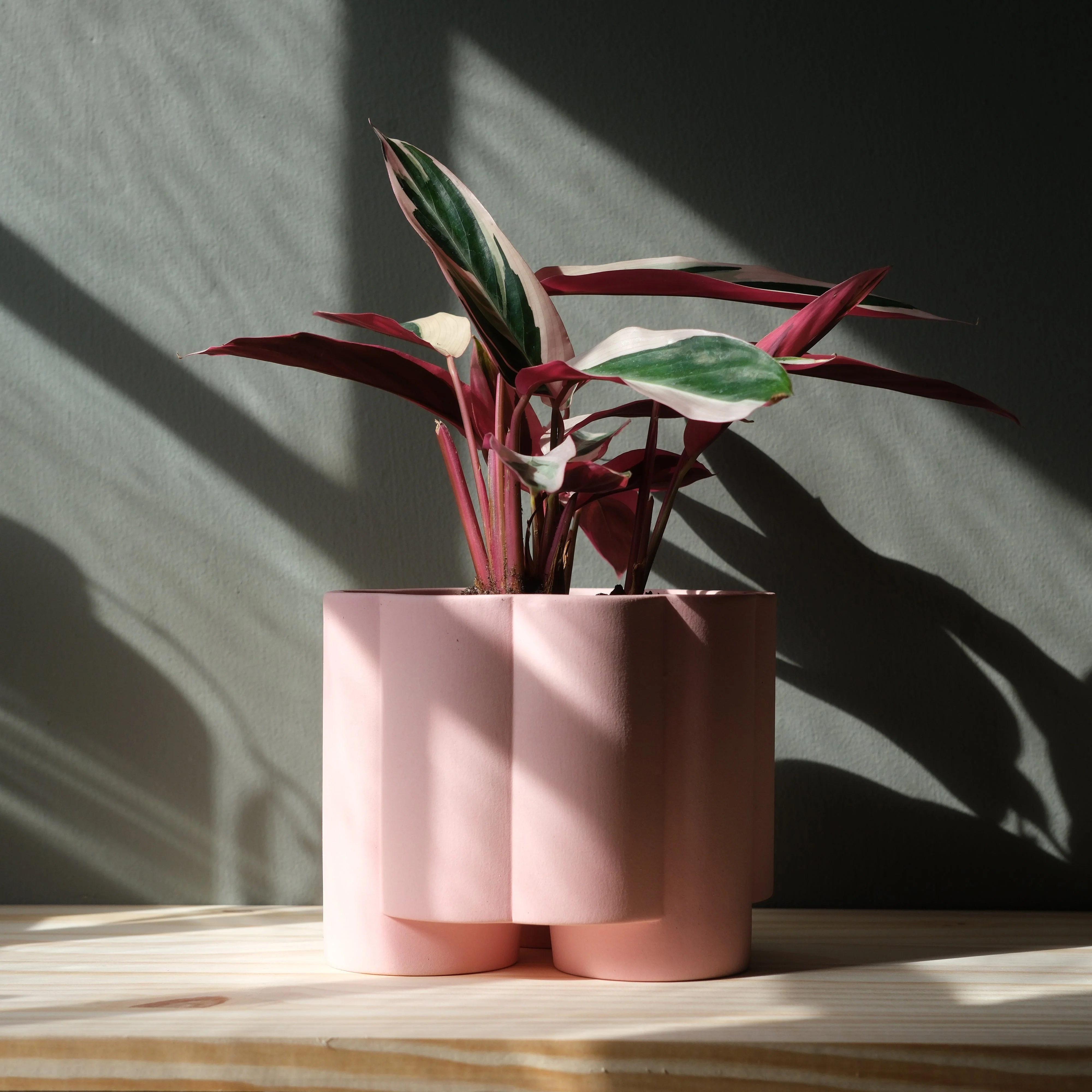 Pillar Planter - Image 4