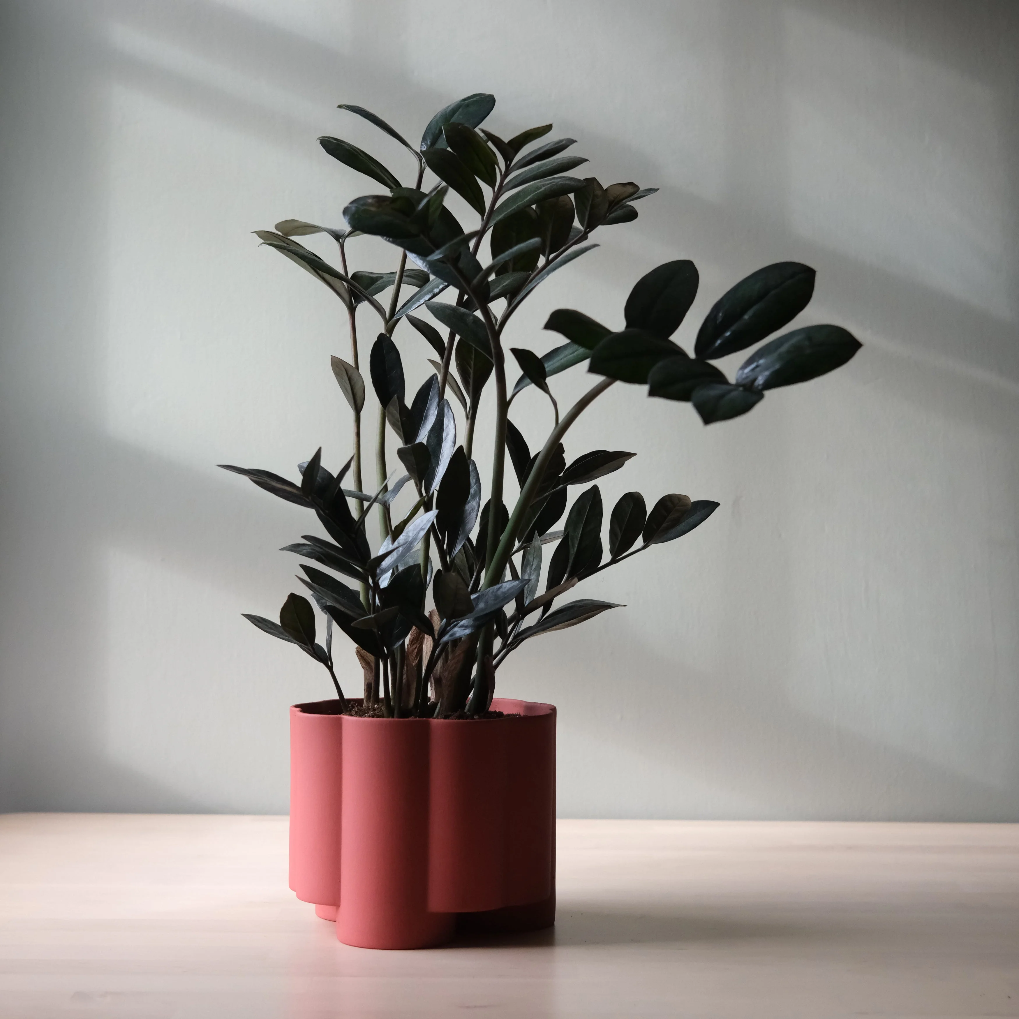 Pillar Planter - Image 5