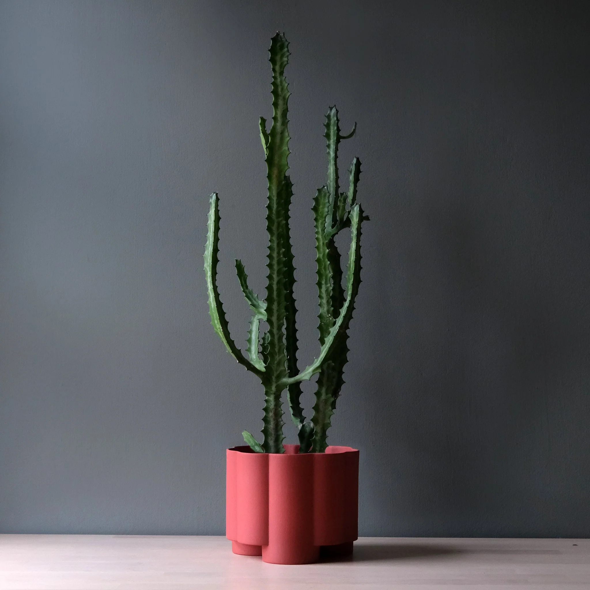 Pillar Planter - Image 7