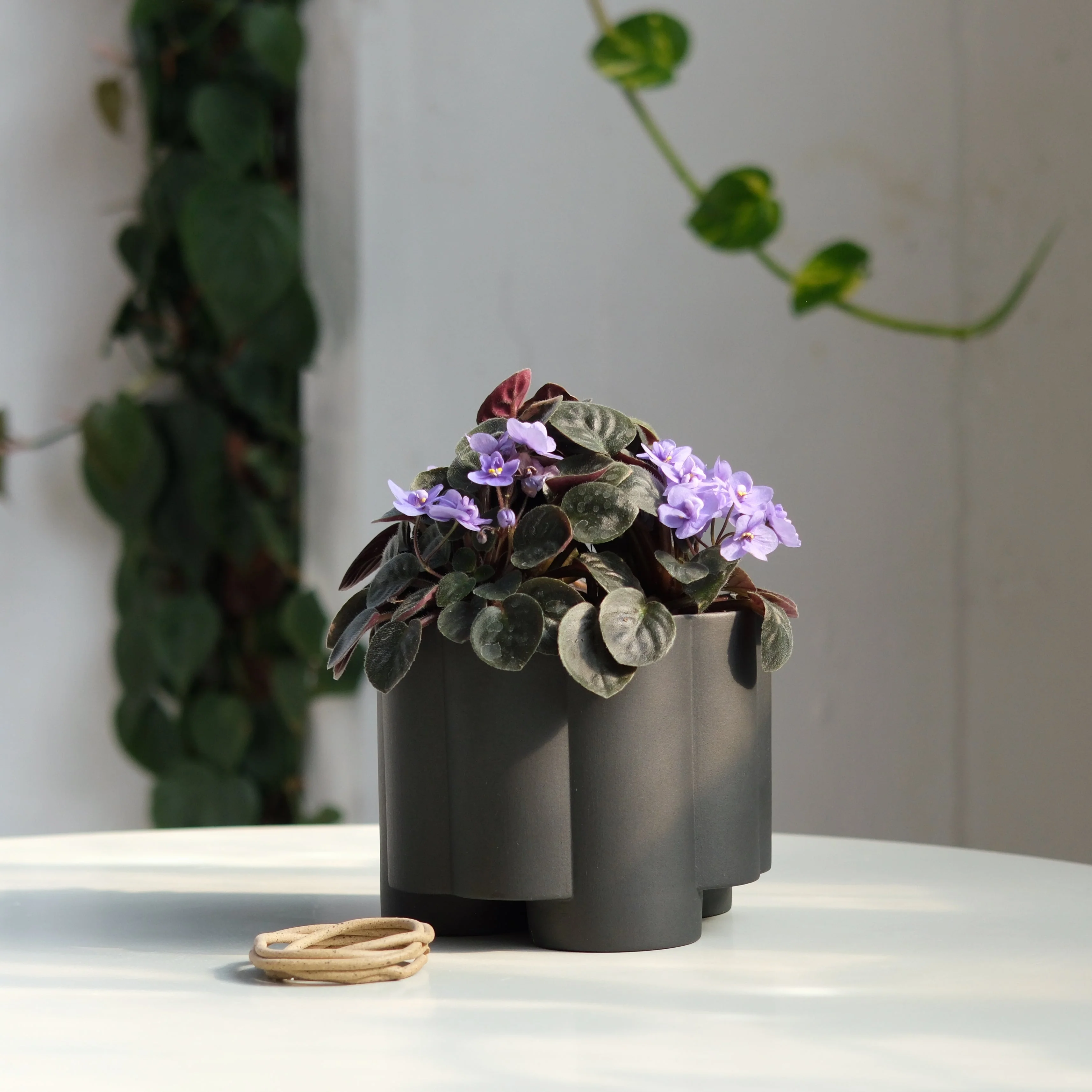 Pillar Planter - Image 9