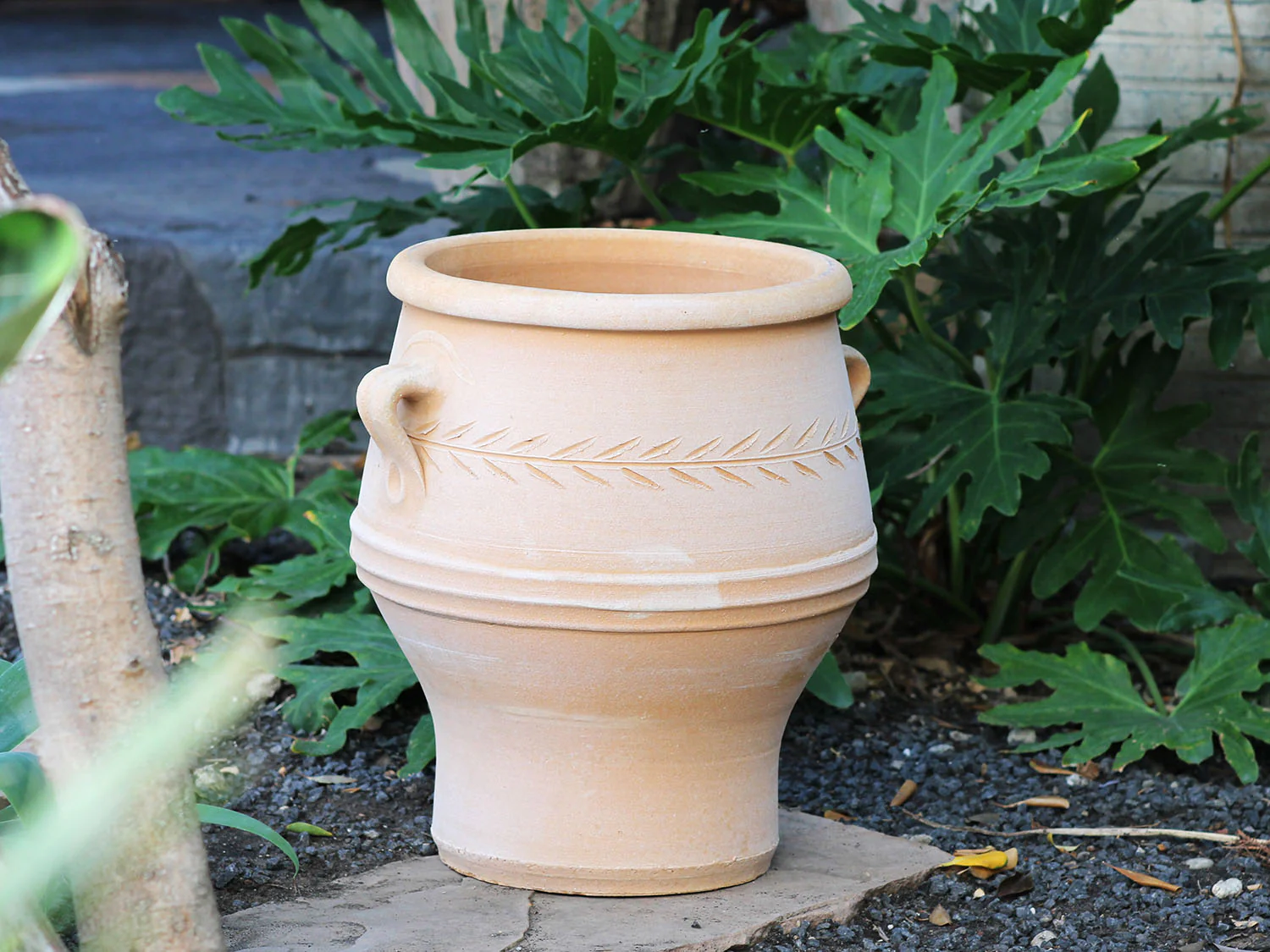 Pithari Urn By Plantatorem - Image 2