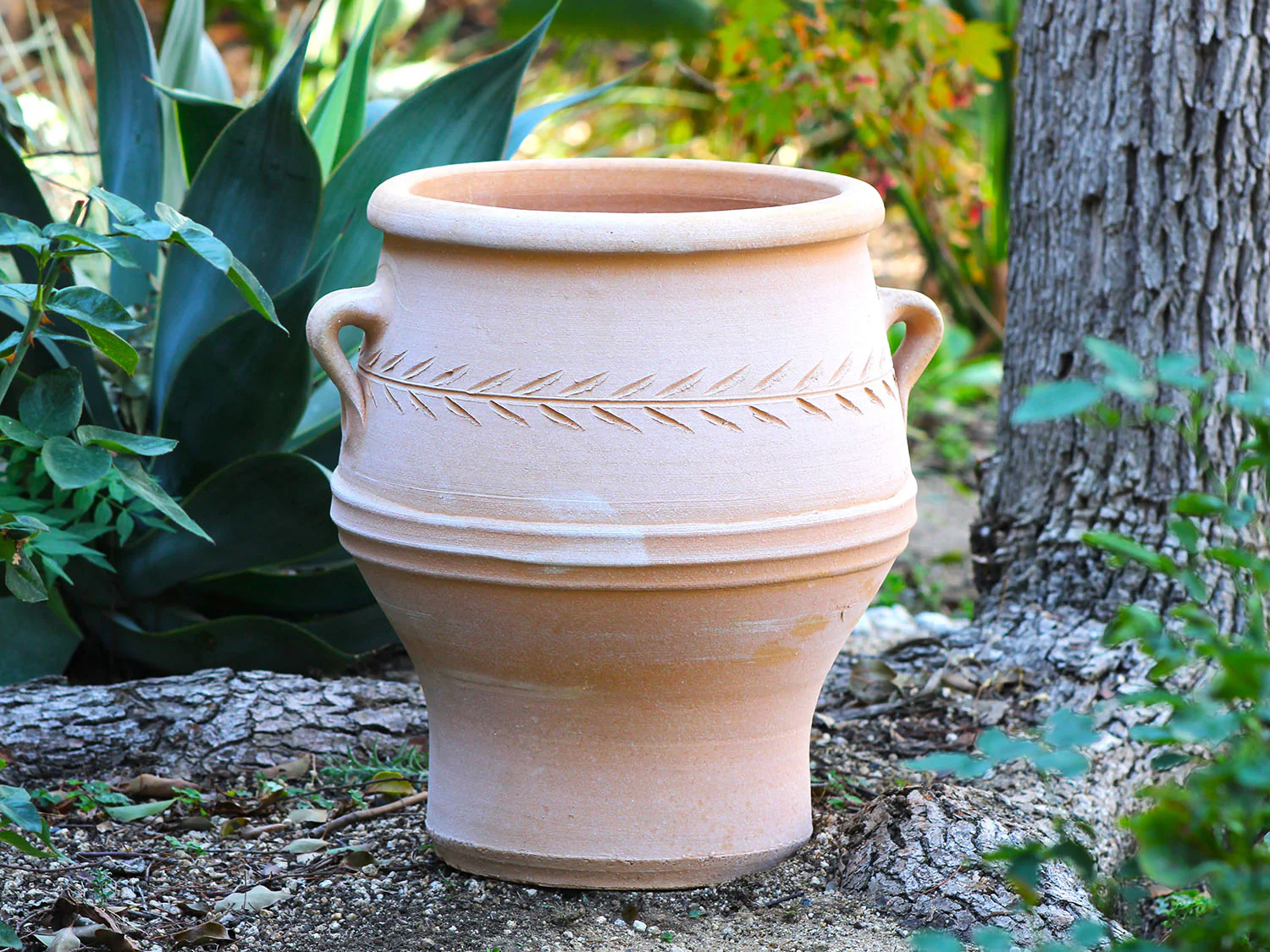 Pithari Urn By Plantatorem - Image 3
