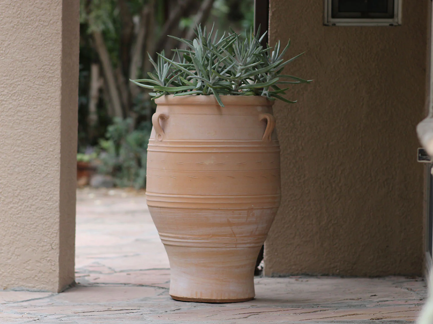 Pithari Urn By Plantatorem - Image 5