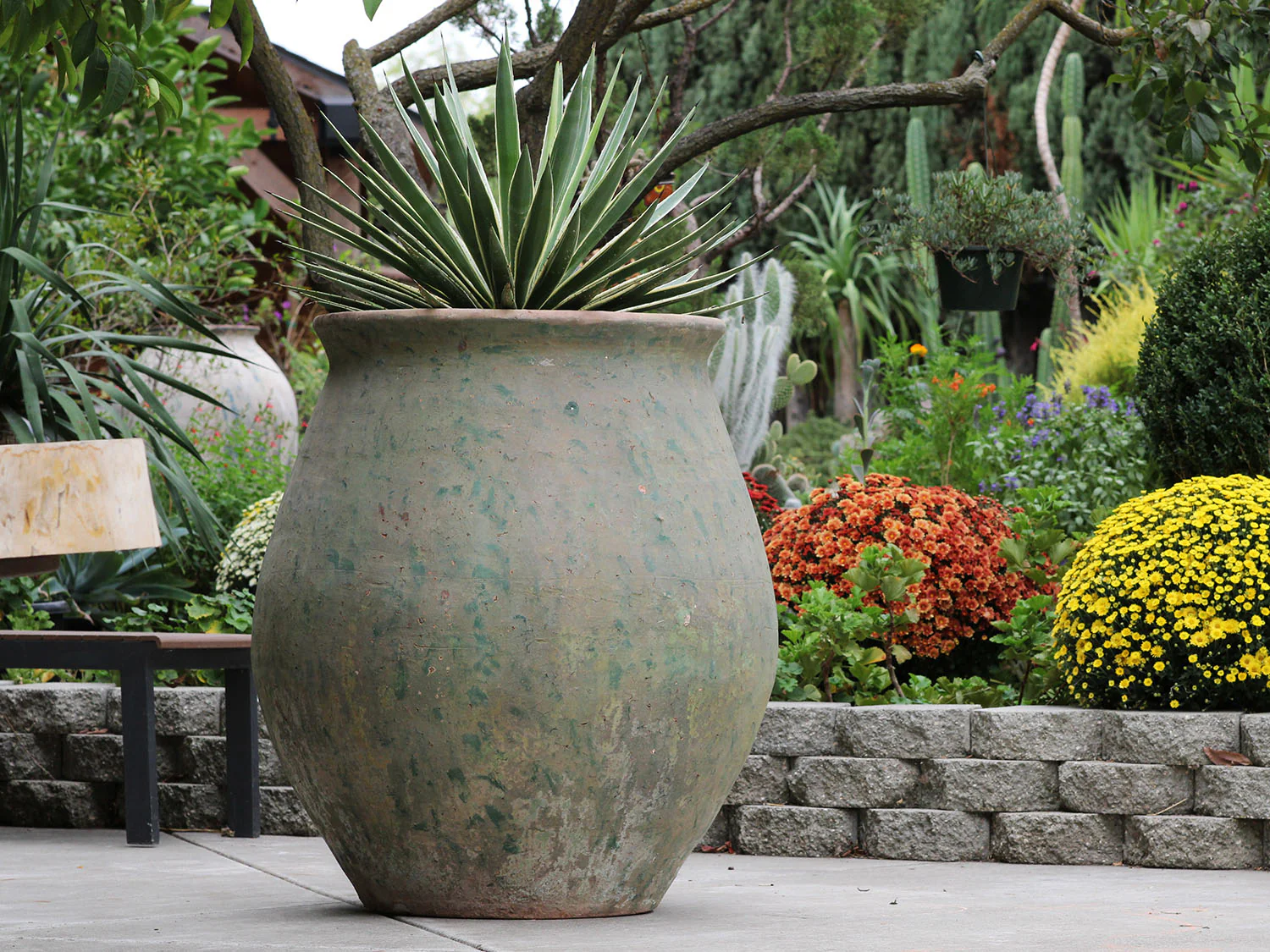 Planter De Hacienda - Image 2