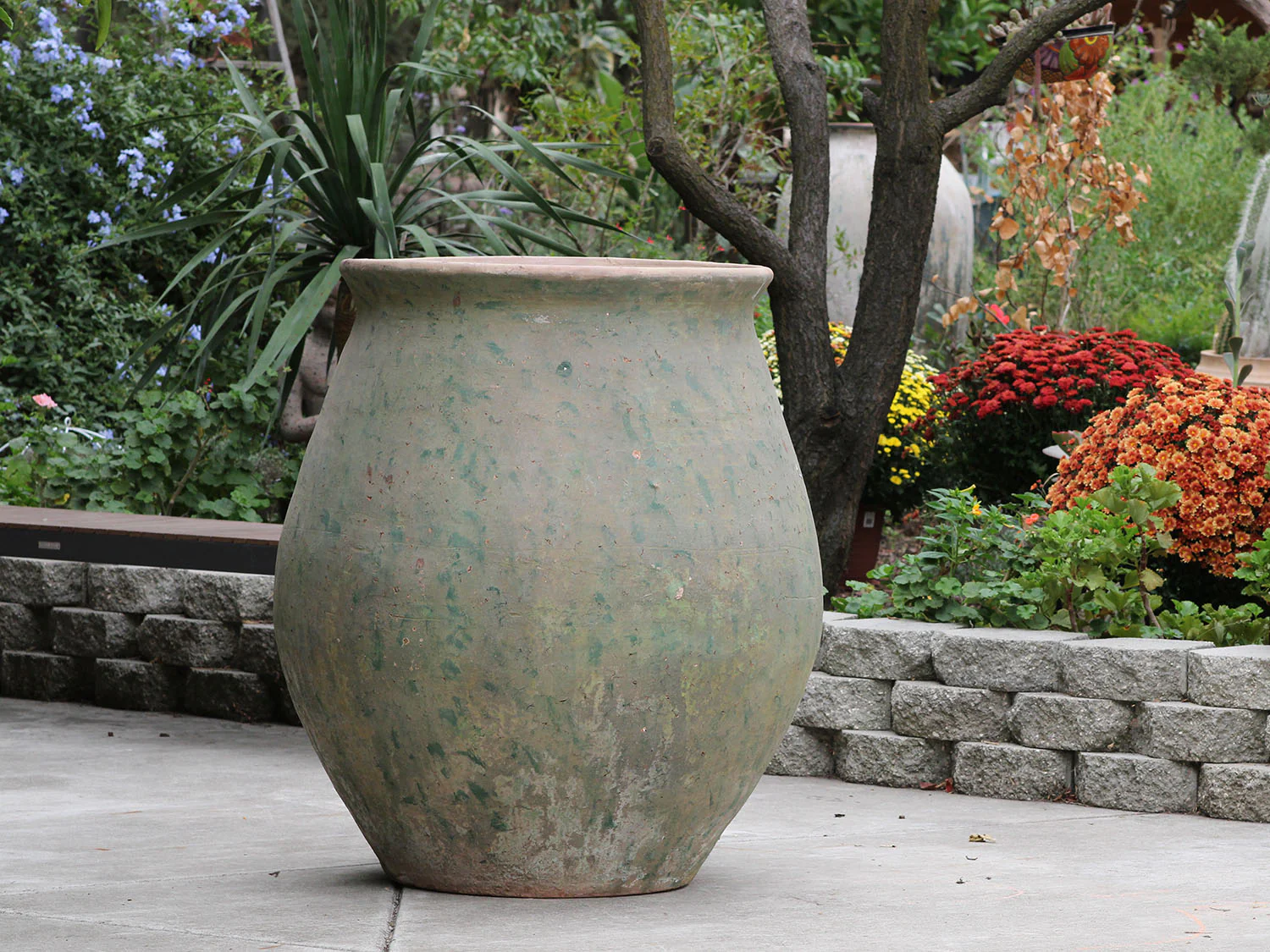 Planter De Hacienda - Image 3