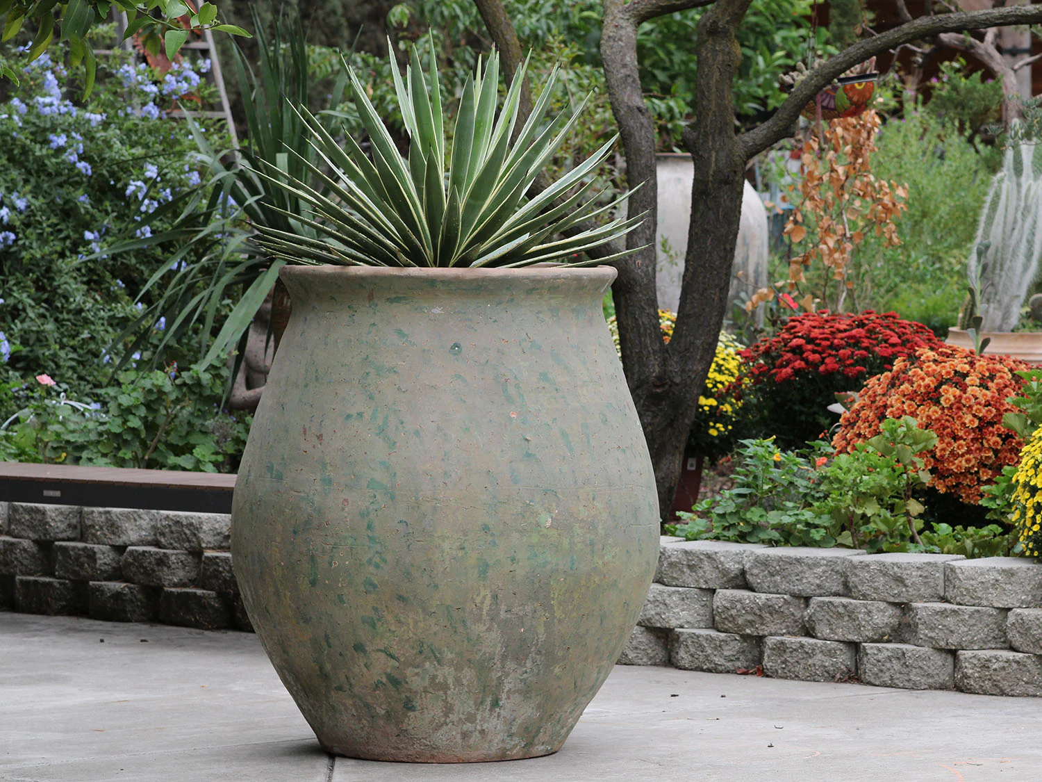 Planter De Hacienda - Image 4