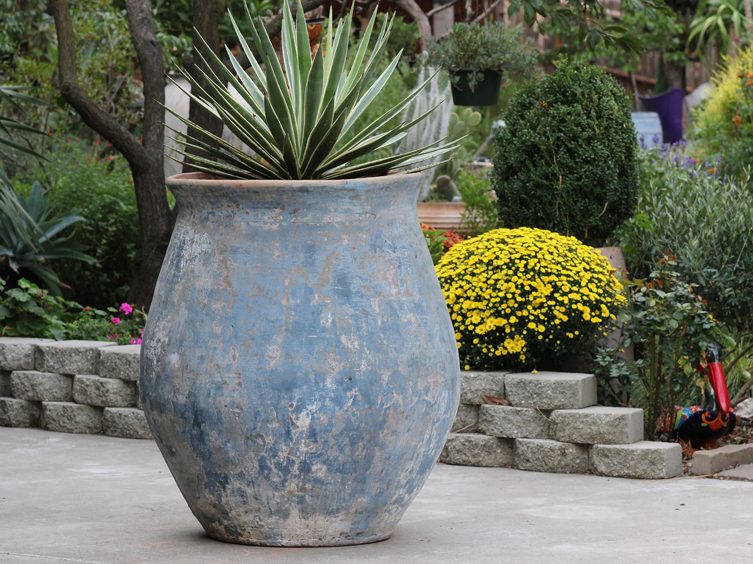 Planter De Hacienda - Image 5